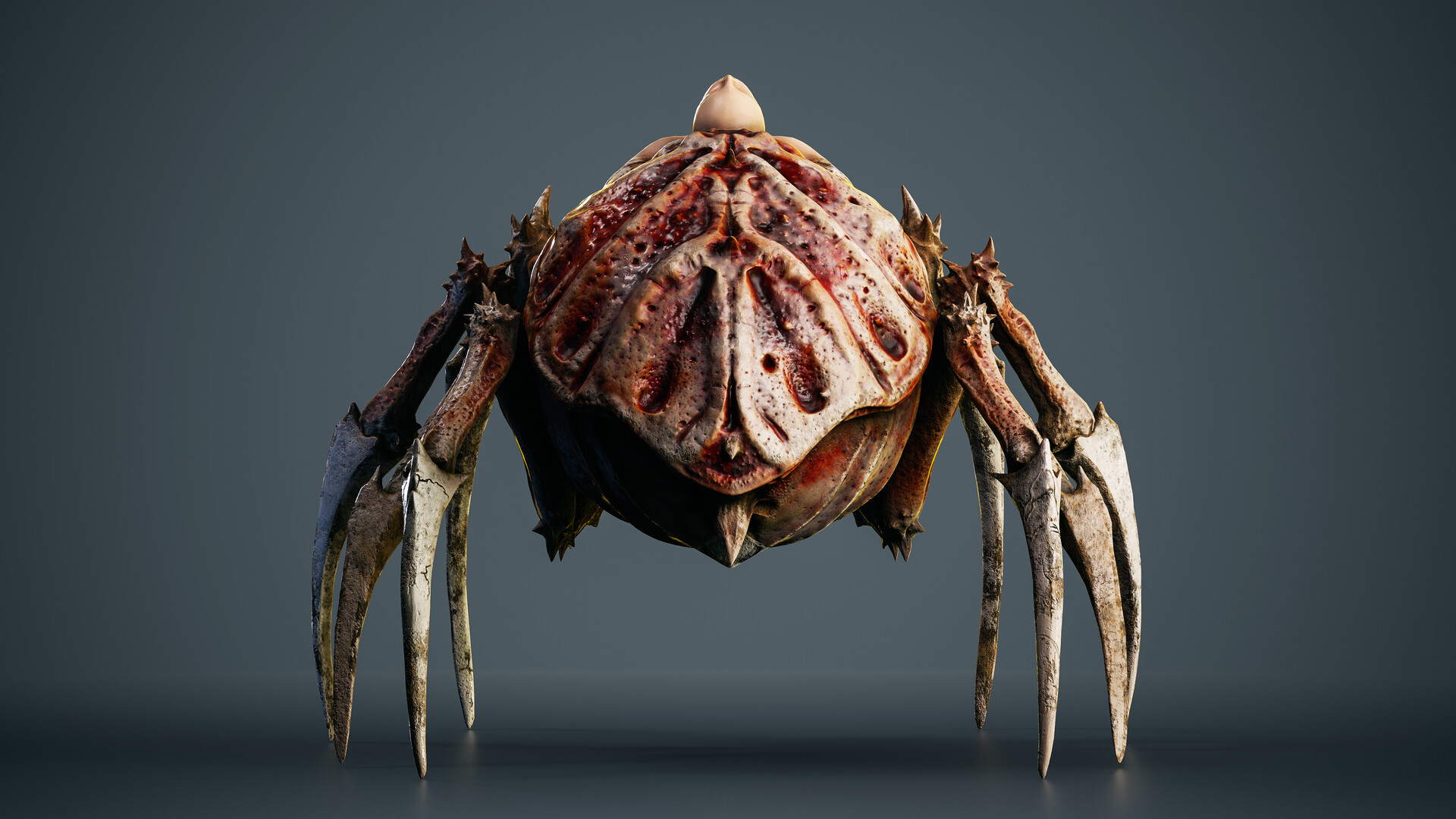 anna-siebenhandl-test2