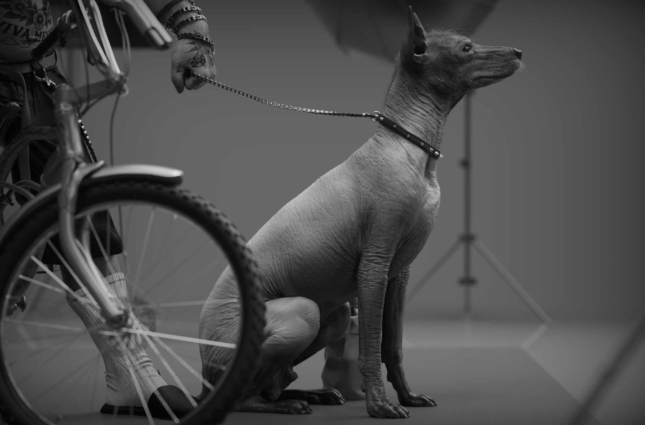 536467755_10234506881827222_598320171734043521_n