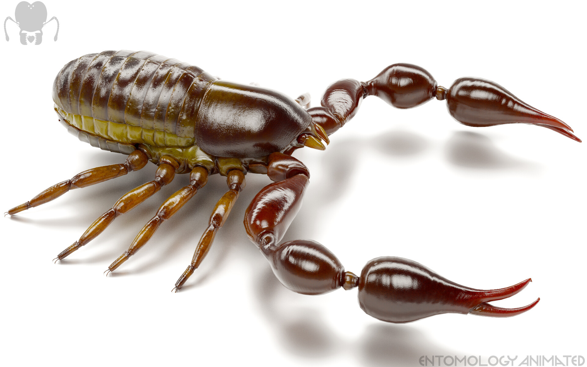 eric-keller-pseudoscorp-iray-02