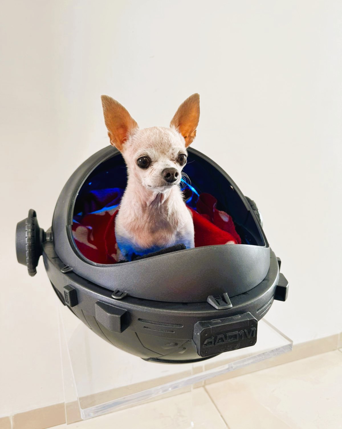 Imagen de WhatsApp 2024-05-30 a las 21.54.31_70f4a823