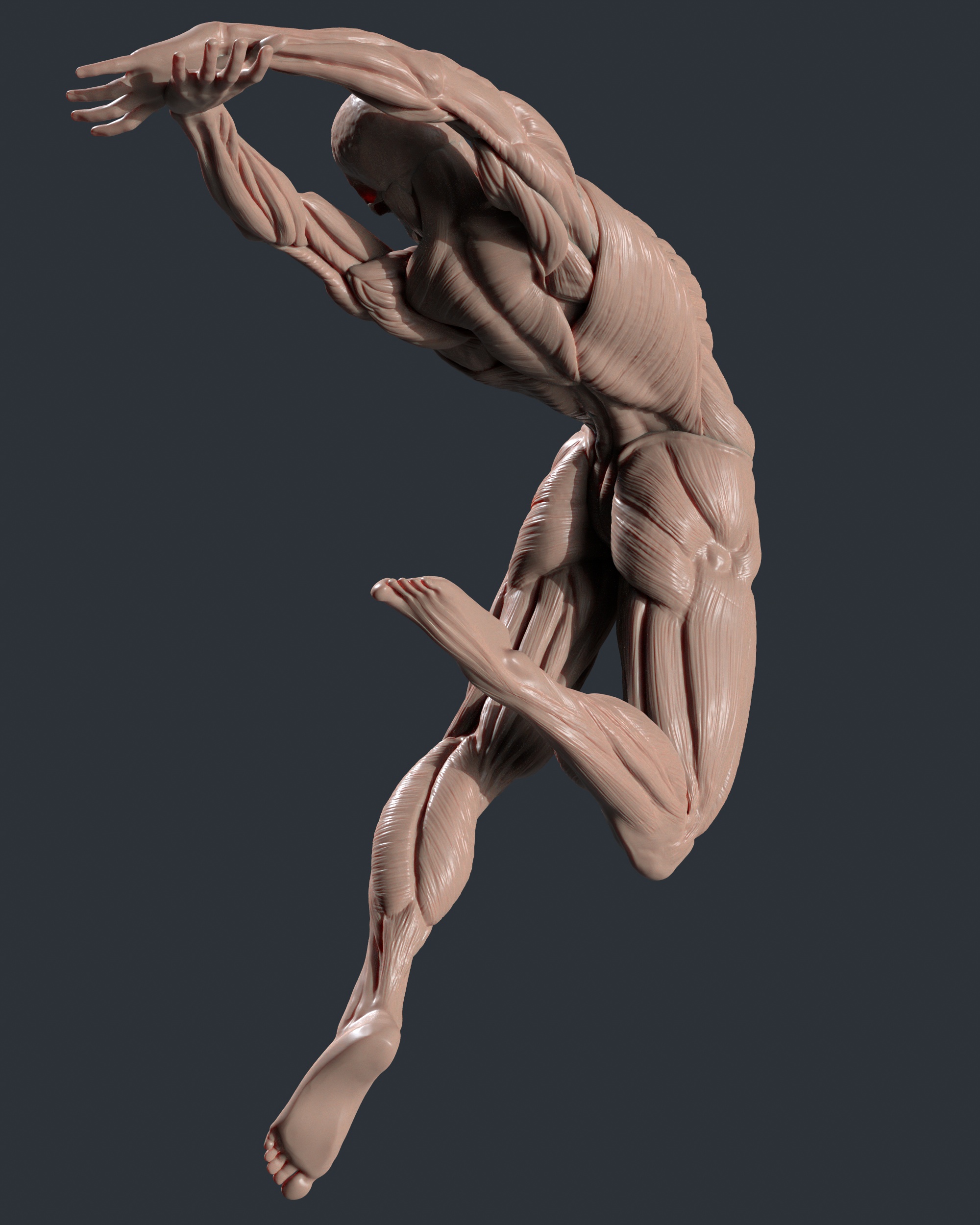 tbrender_Viewport_007