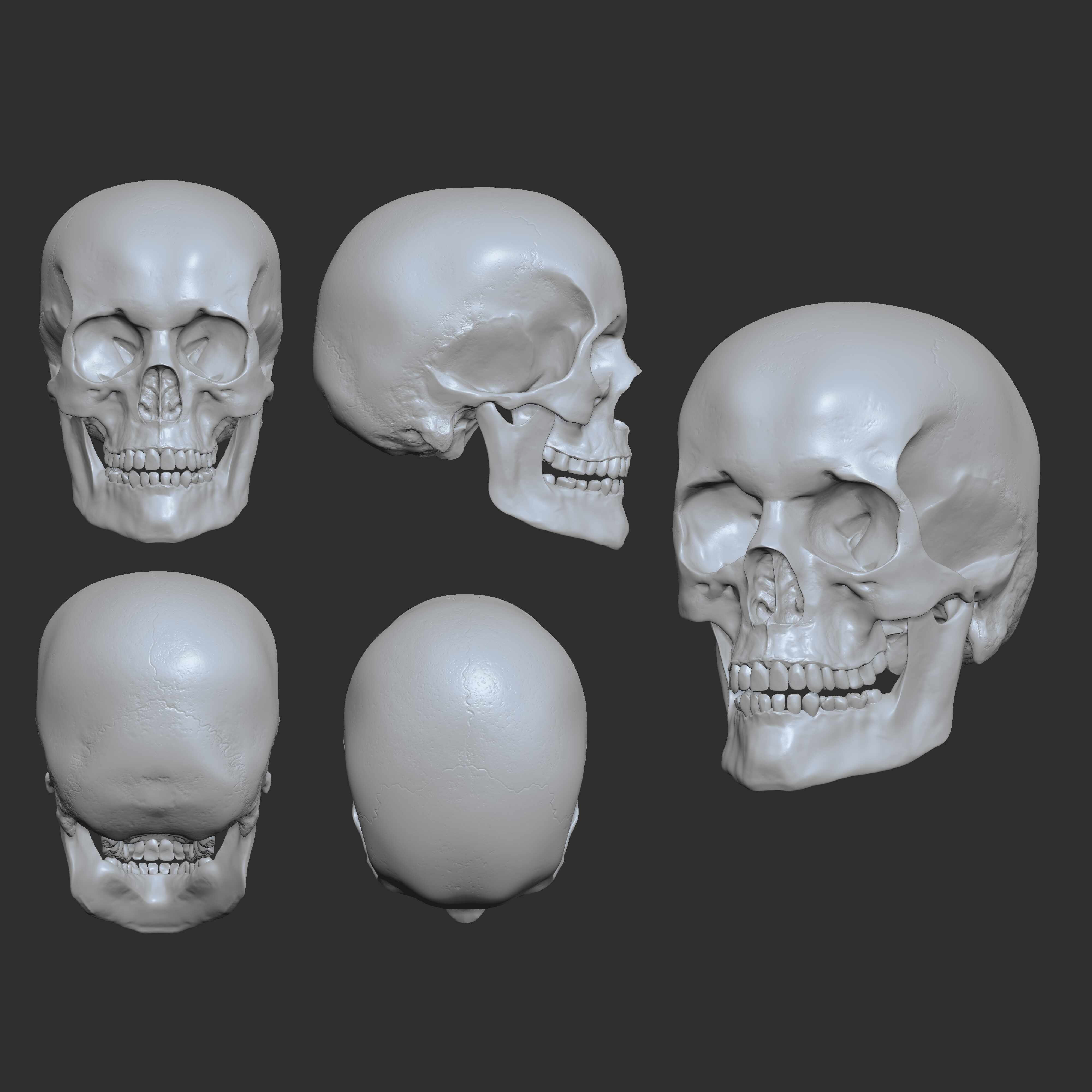 Jorge_Craneo_Gris_PHS