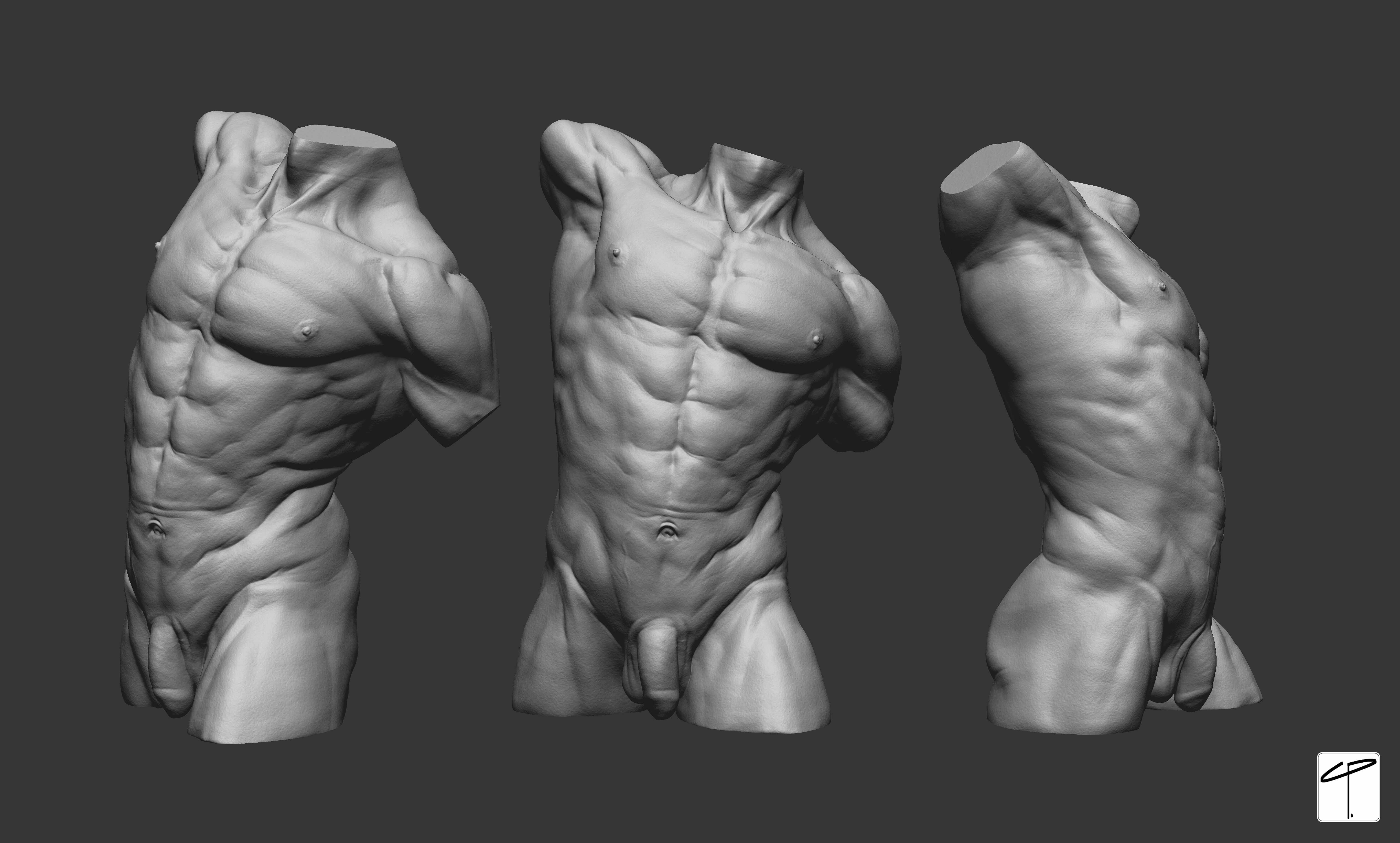 Torso_Front_01_Uncensored