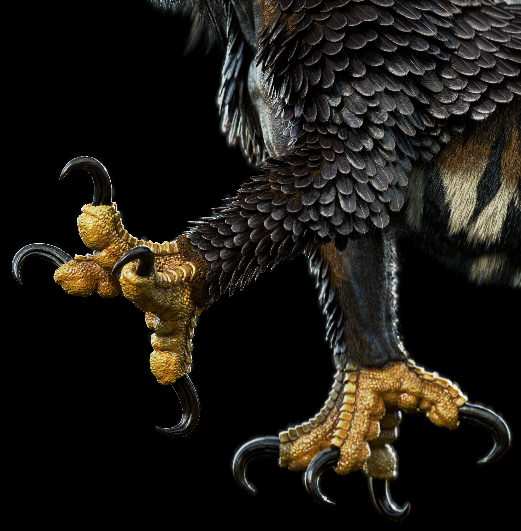 Nue_01_Pose_02_SP_Trim_03