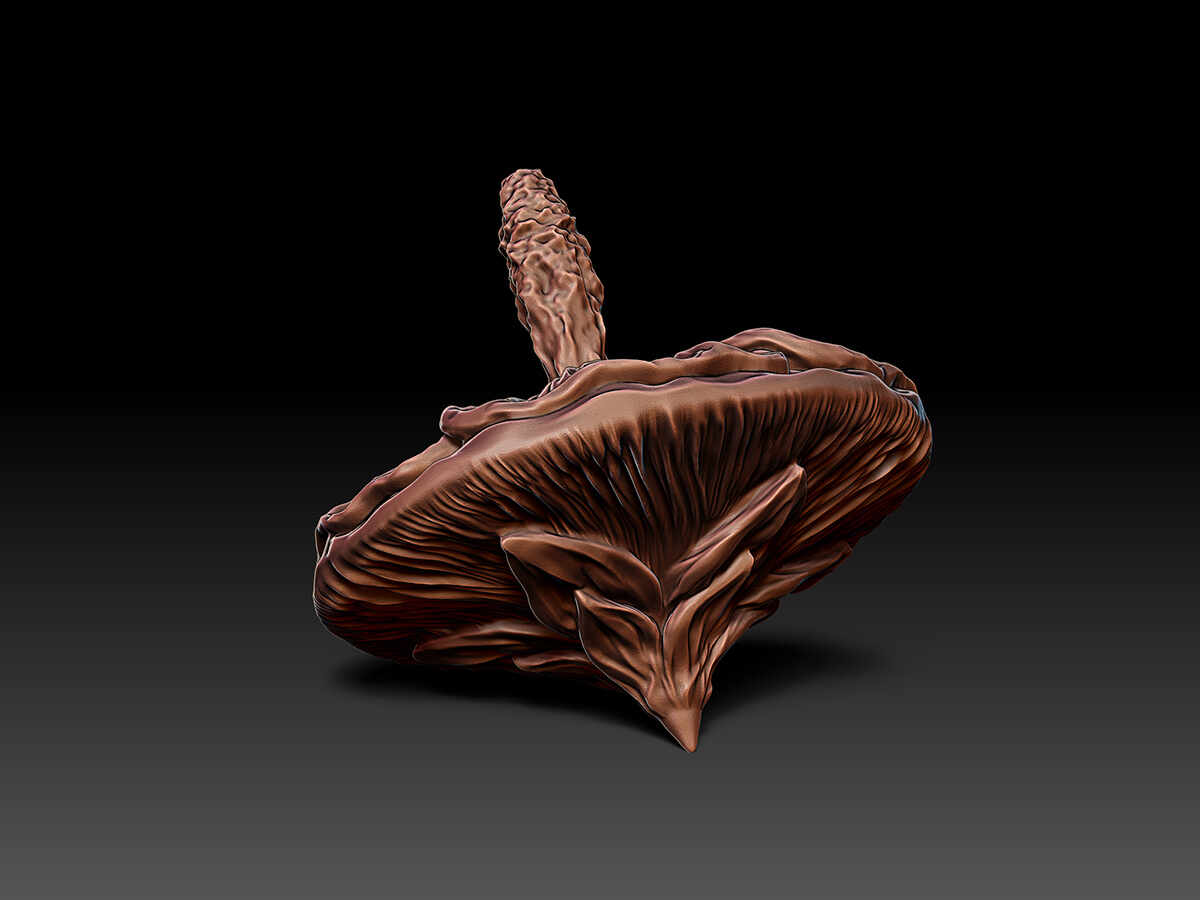 Mallow Sculpture - 2