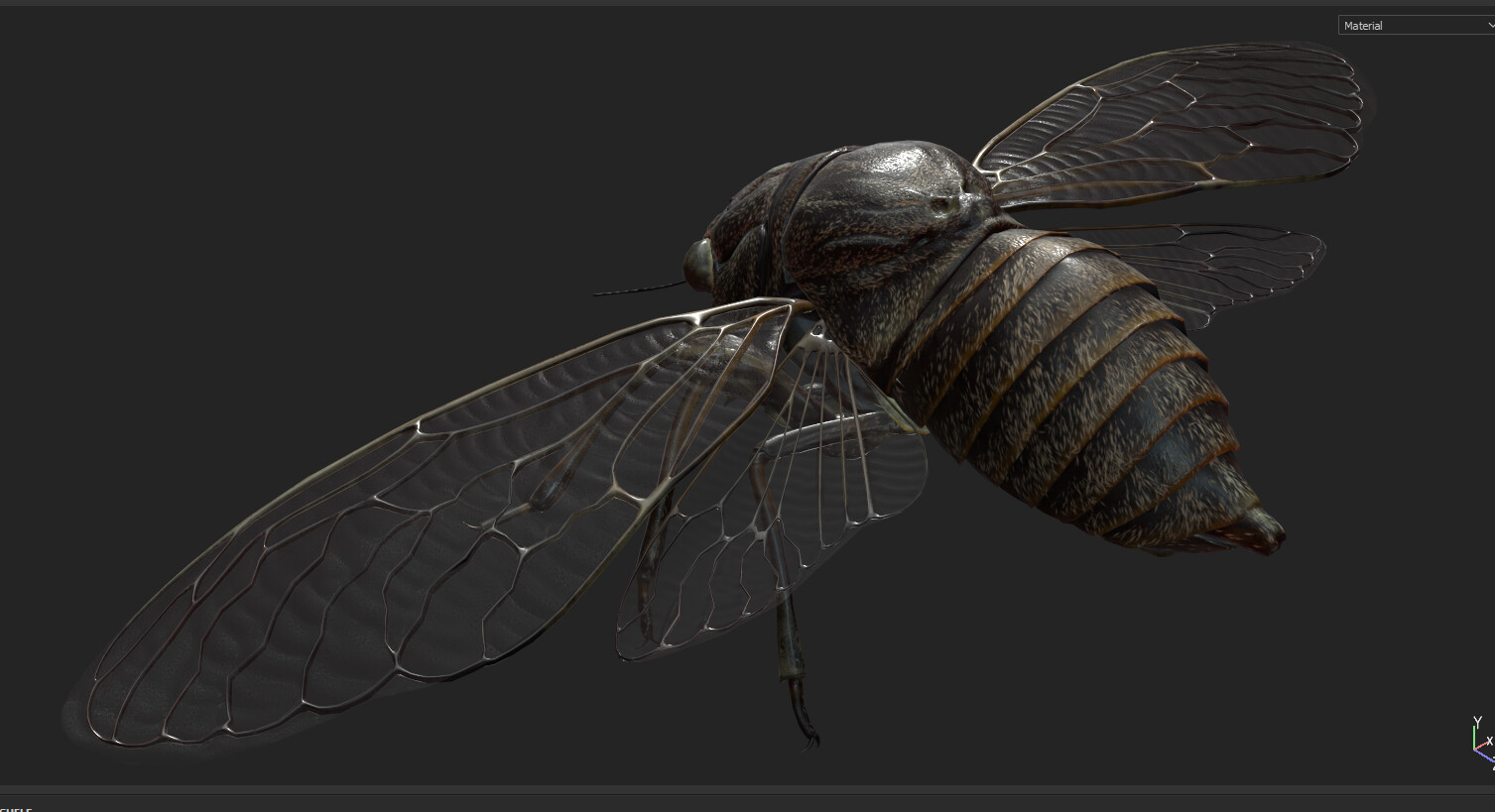 eric-keller-cicadaadult-textured-04