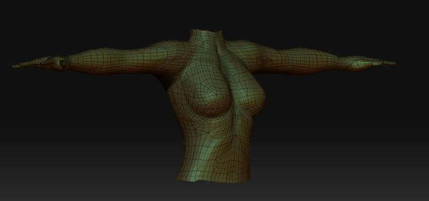 SL avatar polygroup chest  pic.jpg