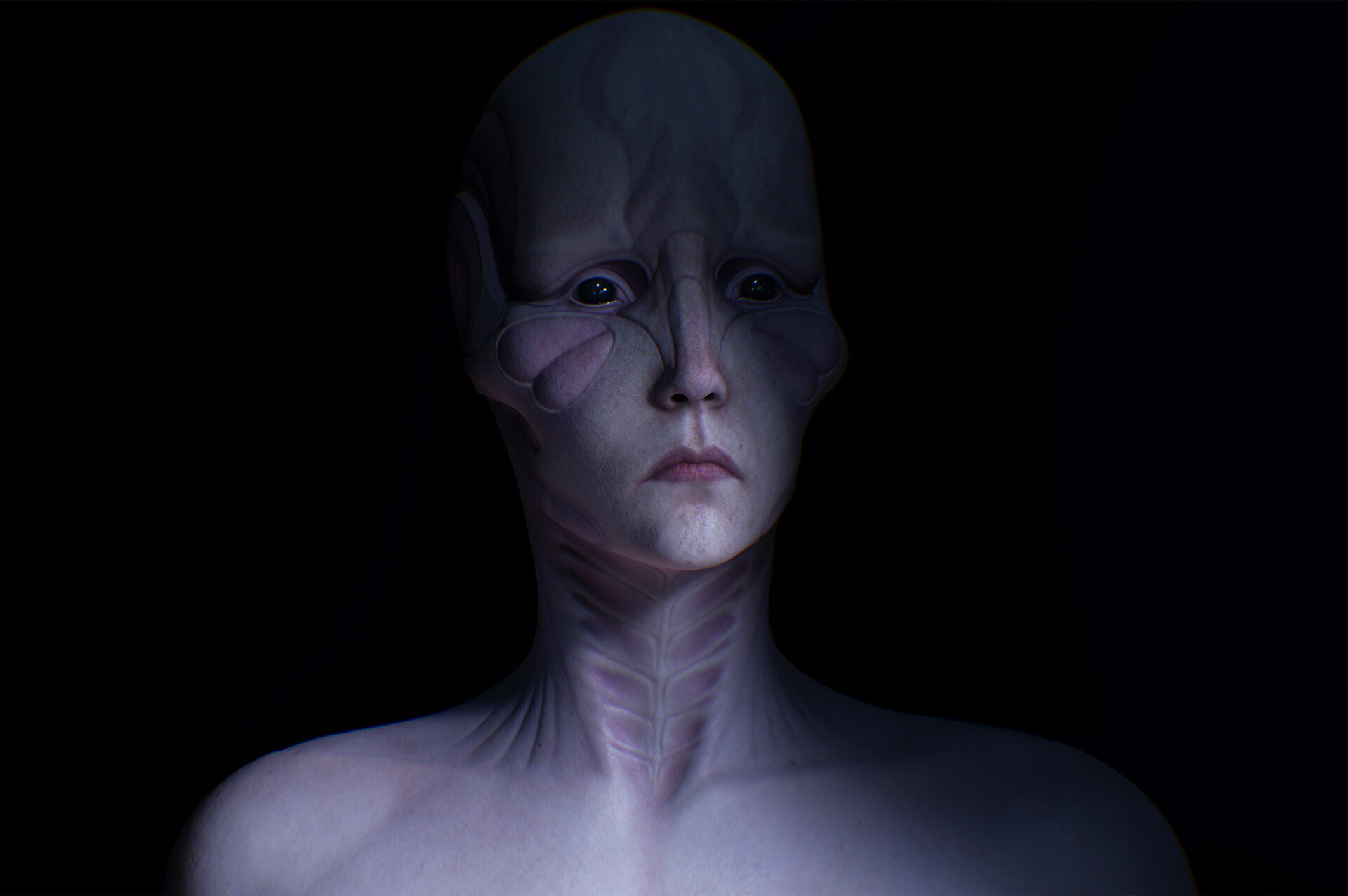 konrx-krolikowski-buttefly-cold-2b