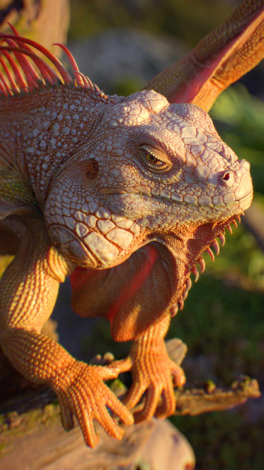 drag_color_cam09_00001