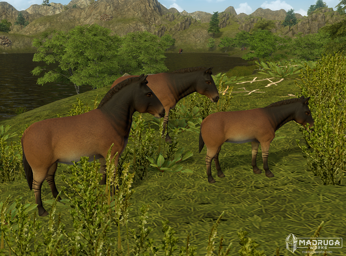 screen_wild_horse_01