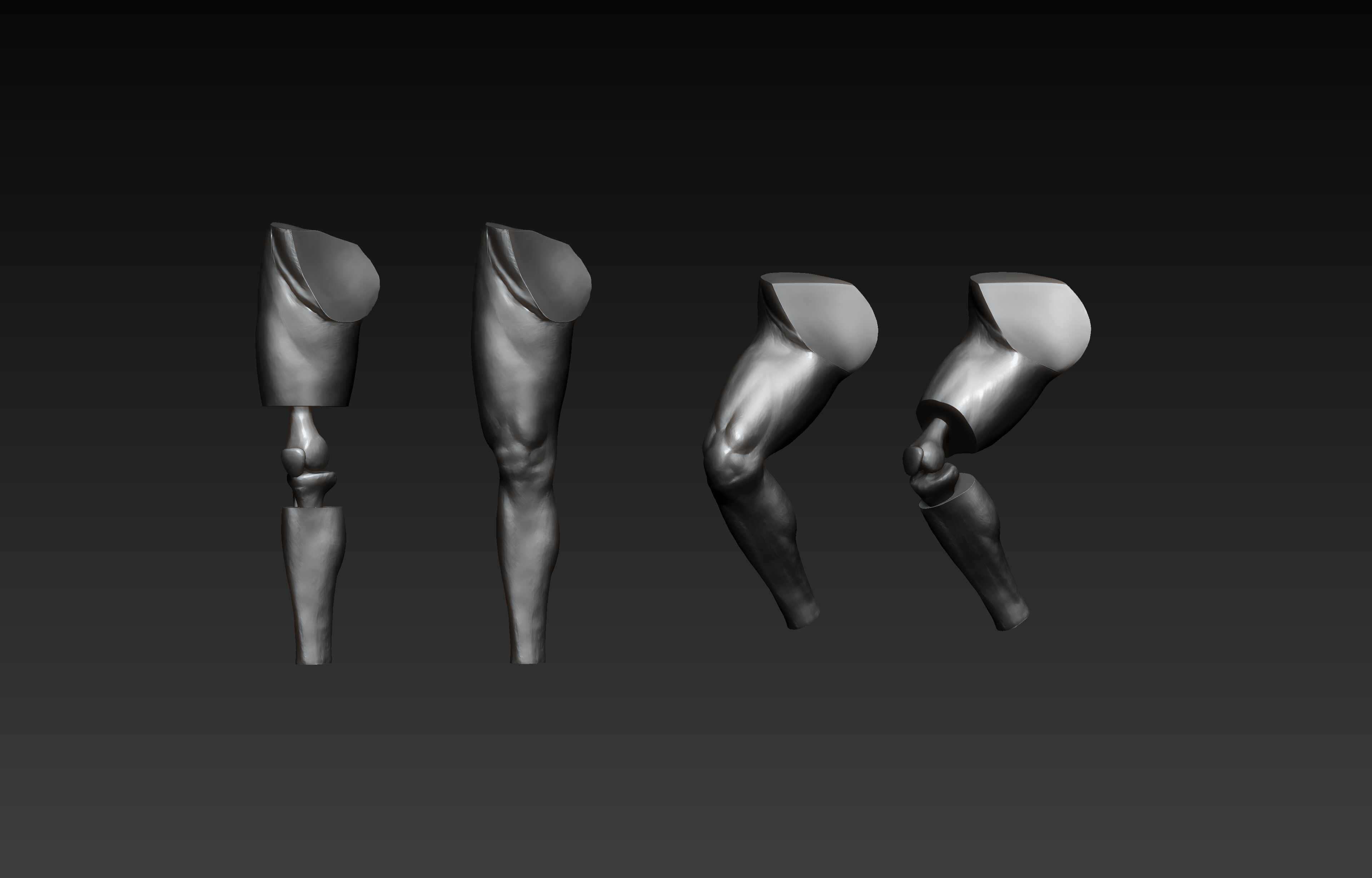 Leg_zbrush_02