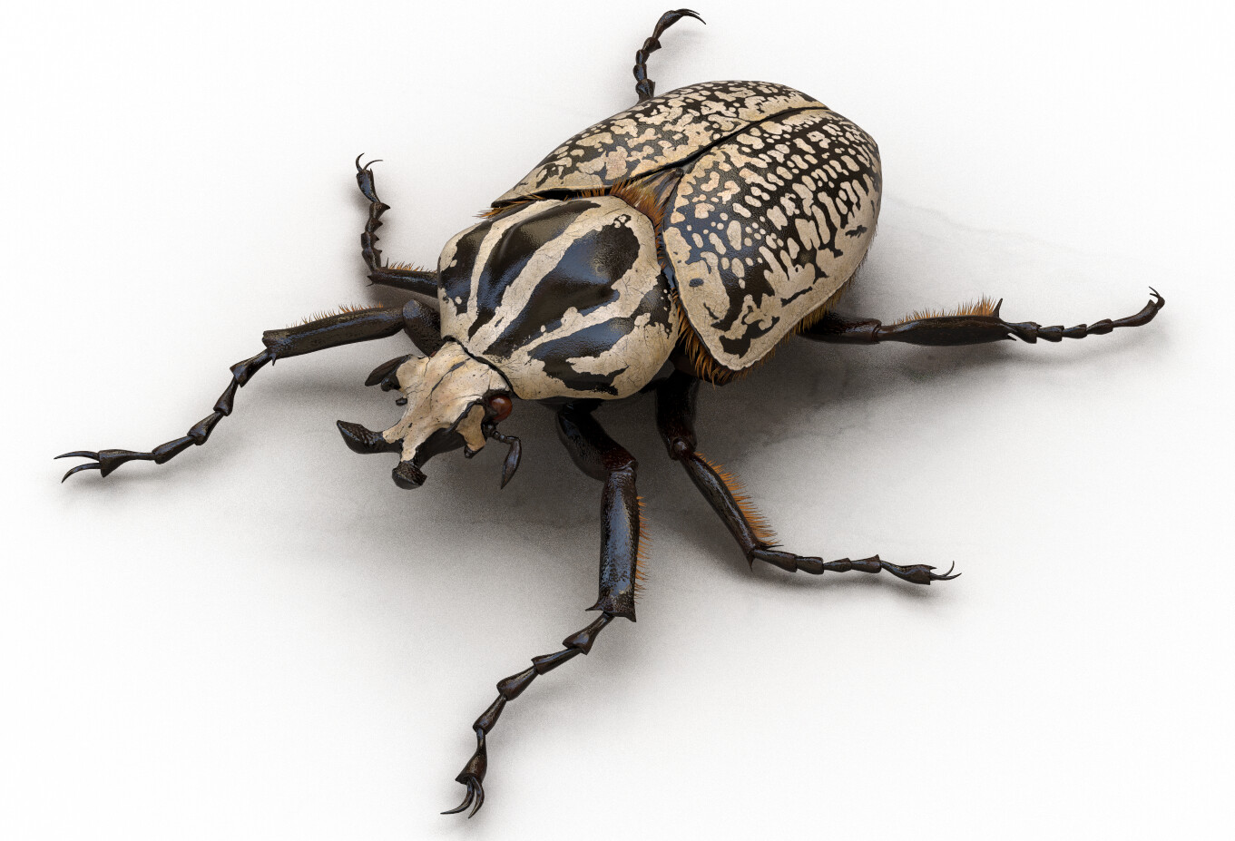 eric-keller-goliathus-substancerender-02