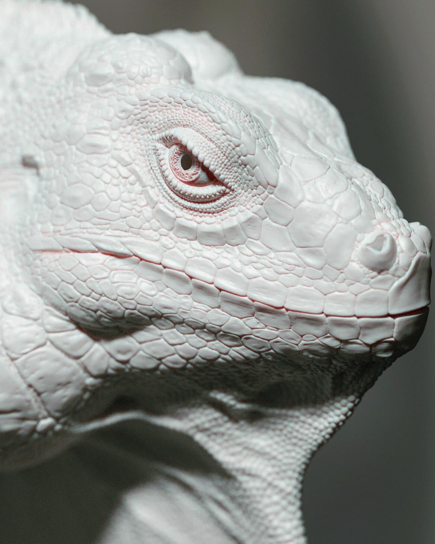 243FF5EF-F542-4B99-B4AC-0641429F65C1