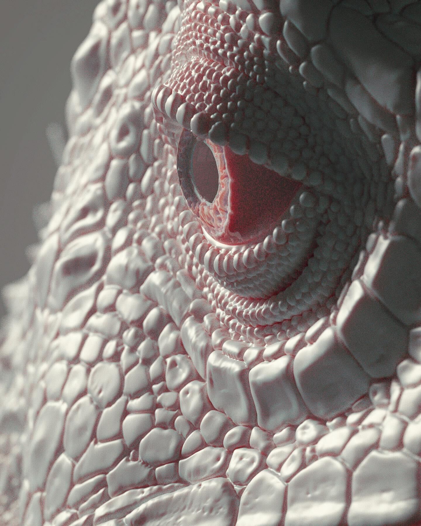 BC6D5EB5-6416-4C9E-8DC5-70628A0BCA28