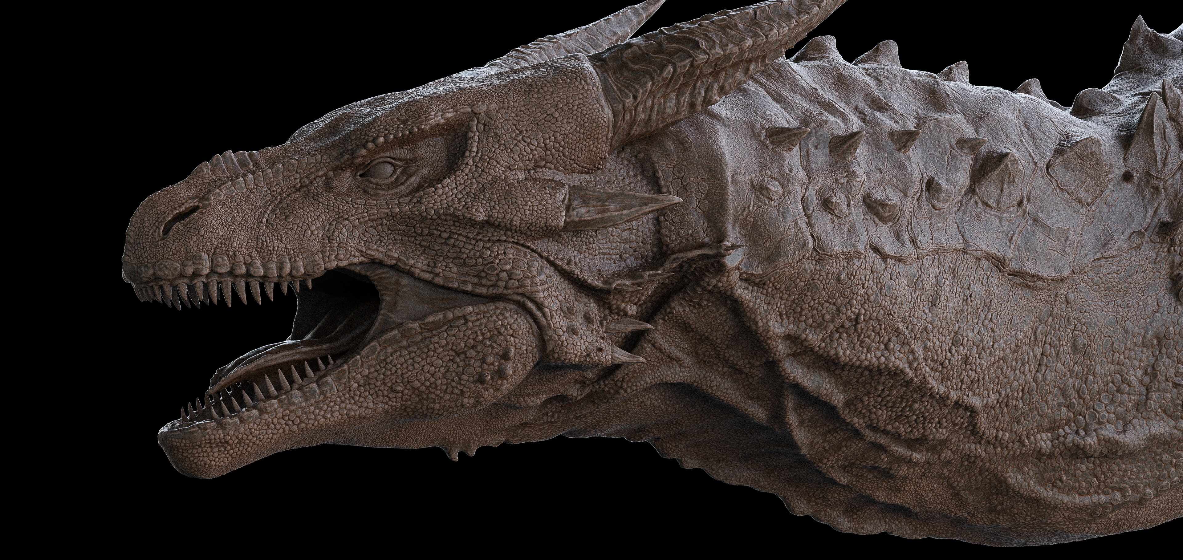 241509973_371667304429642_5087409929514027121_n