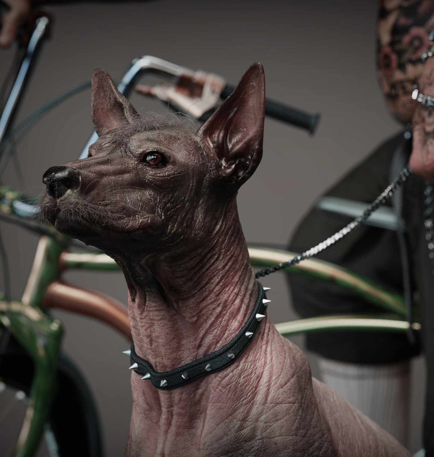 535387072_10234506188889899_6373659695057036489_n