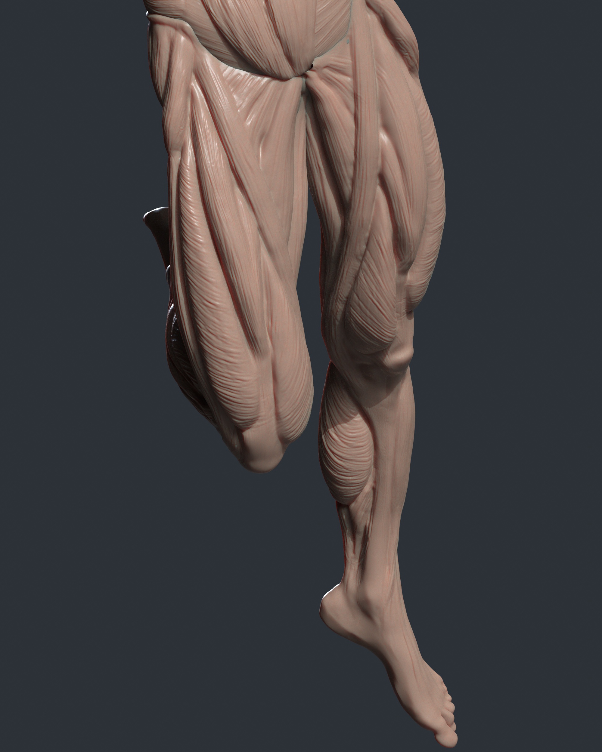 tbrender_Viewport_018