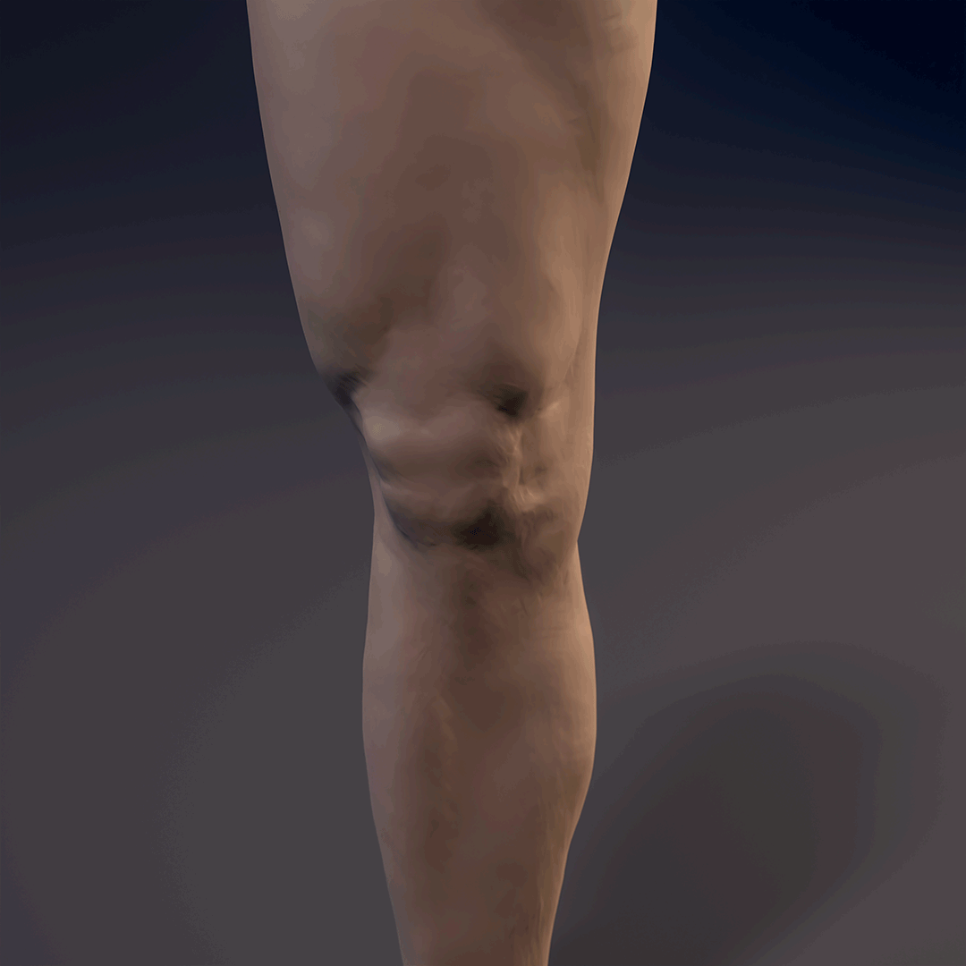 Leg_Straith_Cam_02_shot