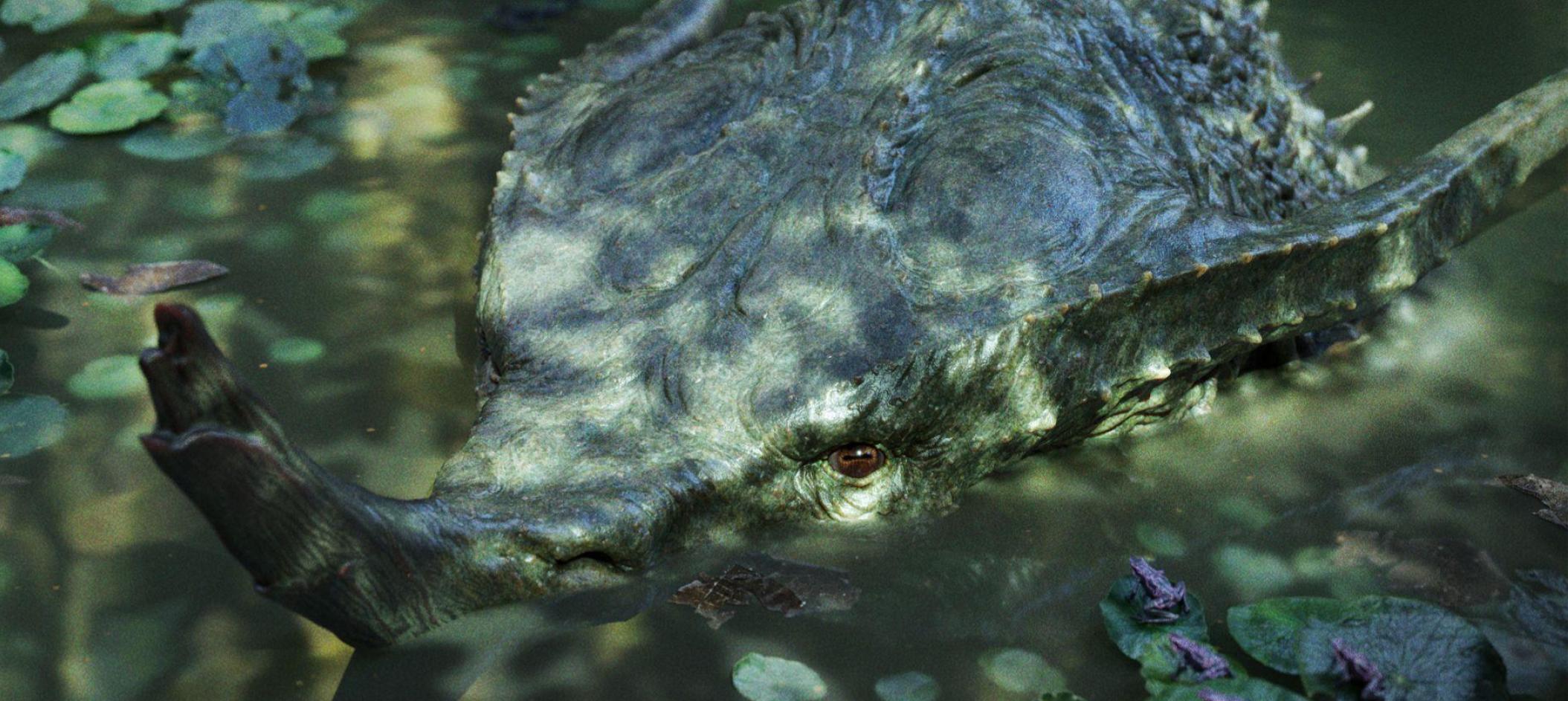 IanNavarro_Portfolio_2025_Spain (7)