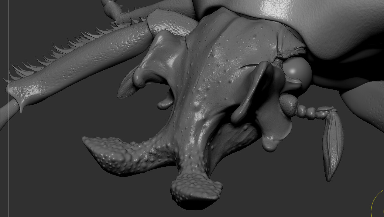 eric-keller-goliath-hex