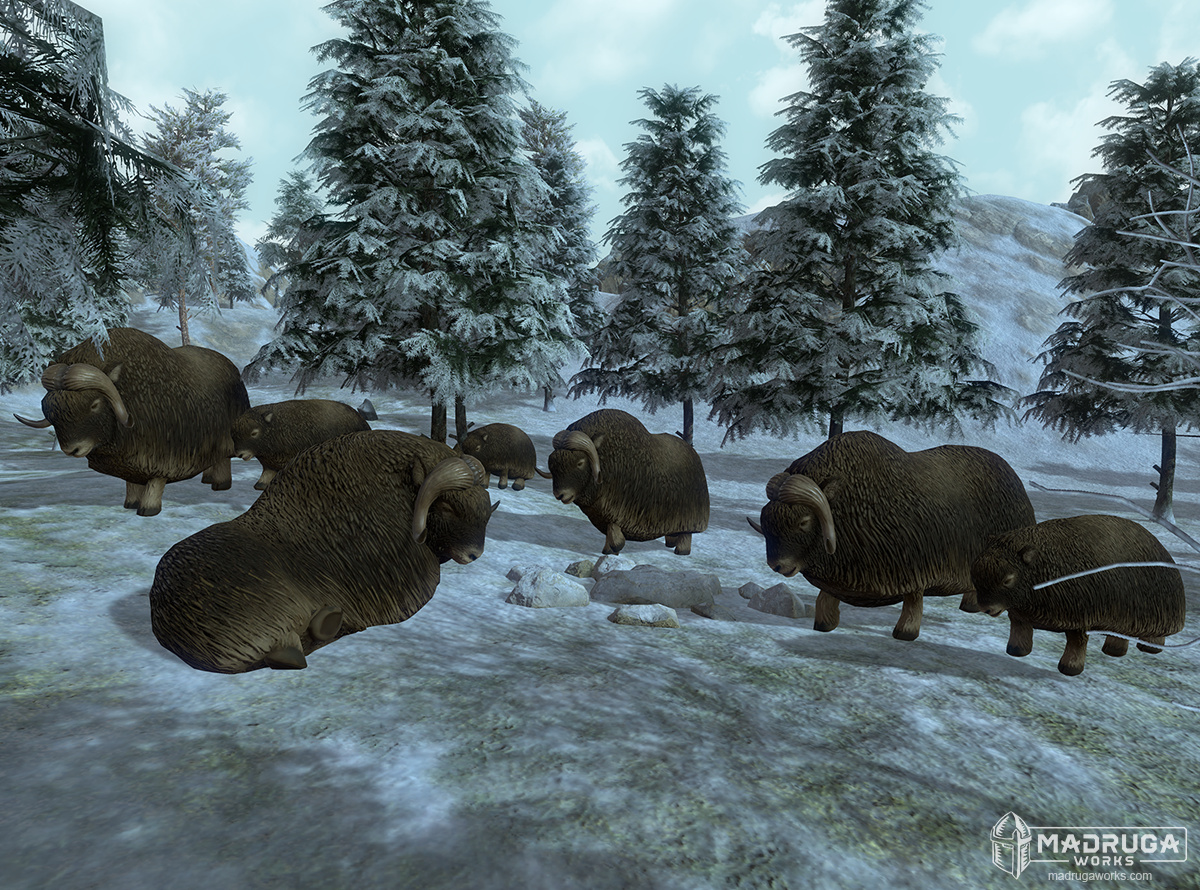 screen_muskox_02