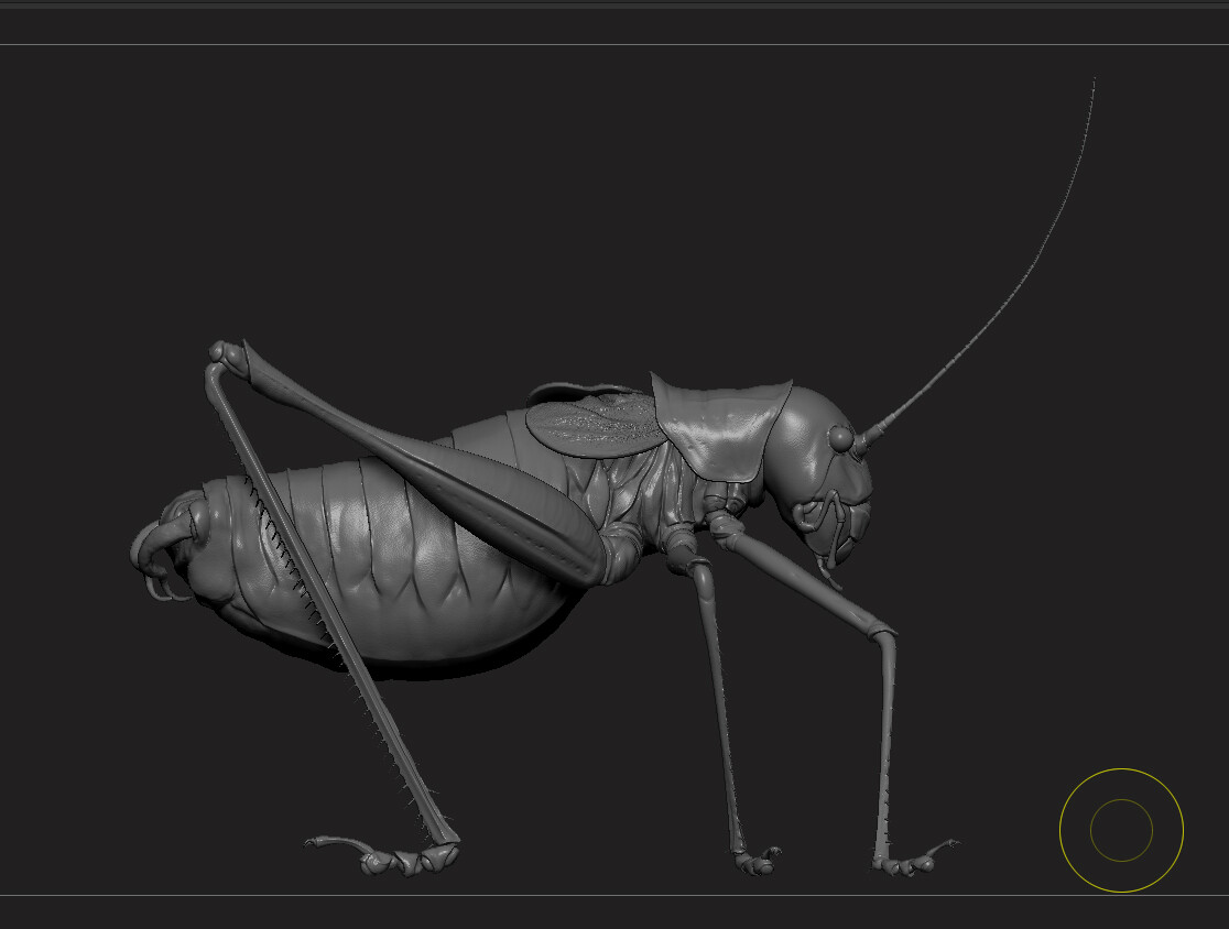 eric-keller-b-vicentinus-zbrush-01