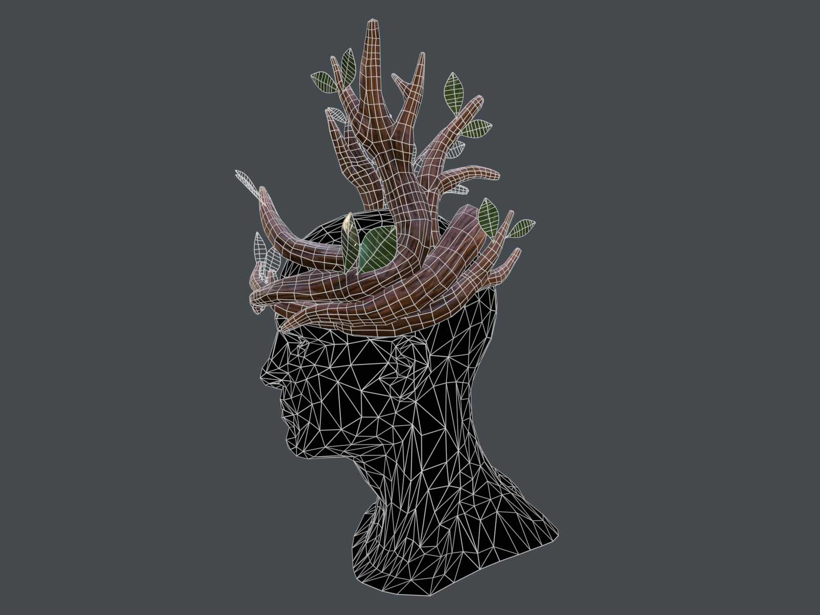 tbrender_Viewport_007