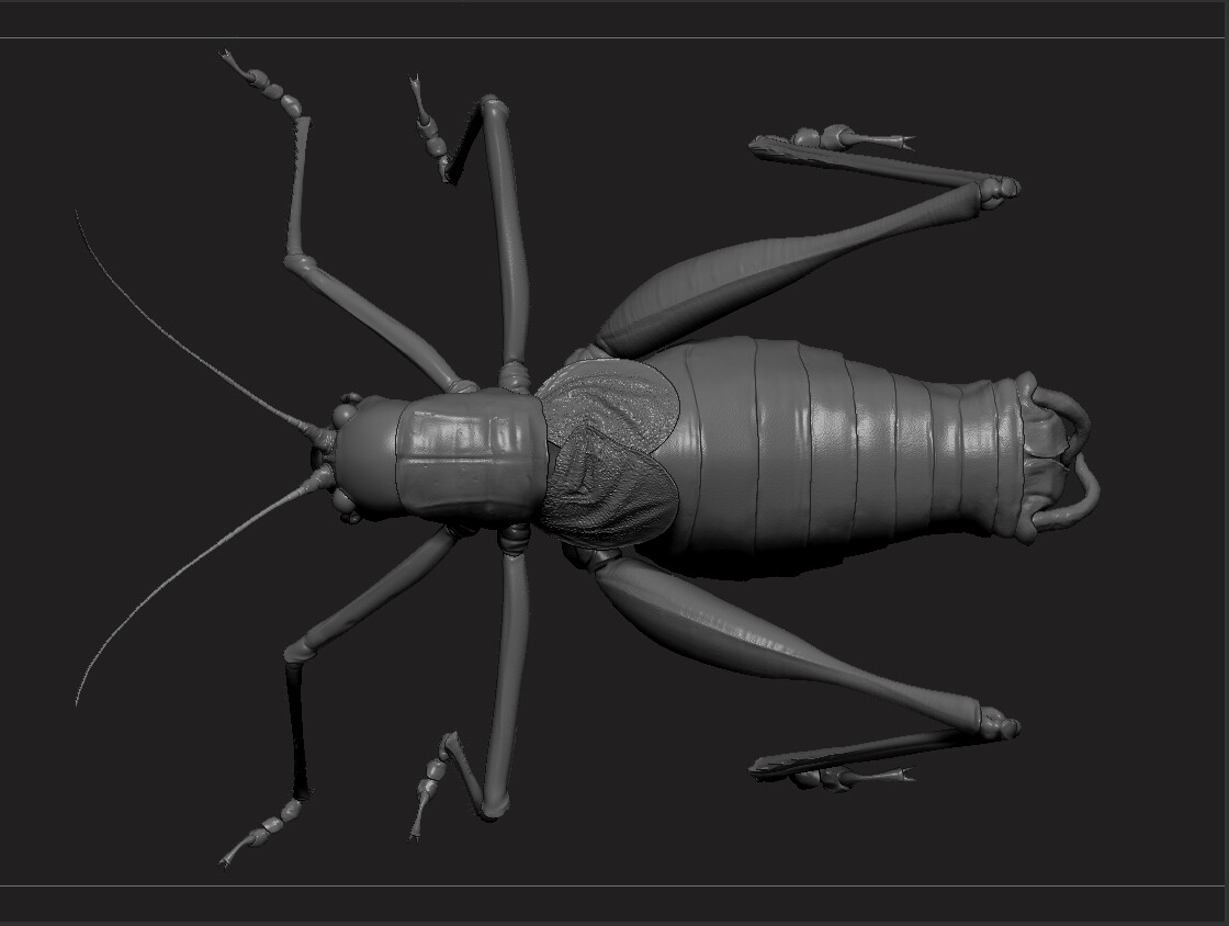 eric-keller-b-vicentinus-zbrush-03