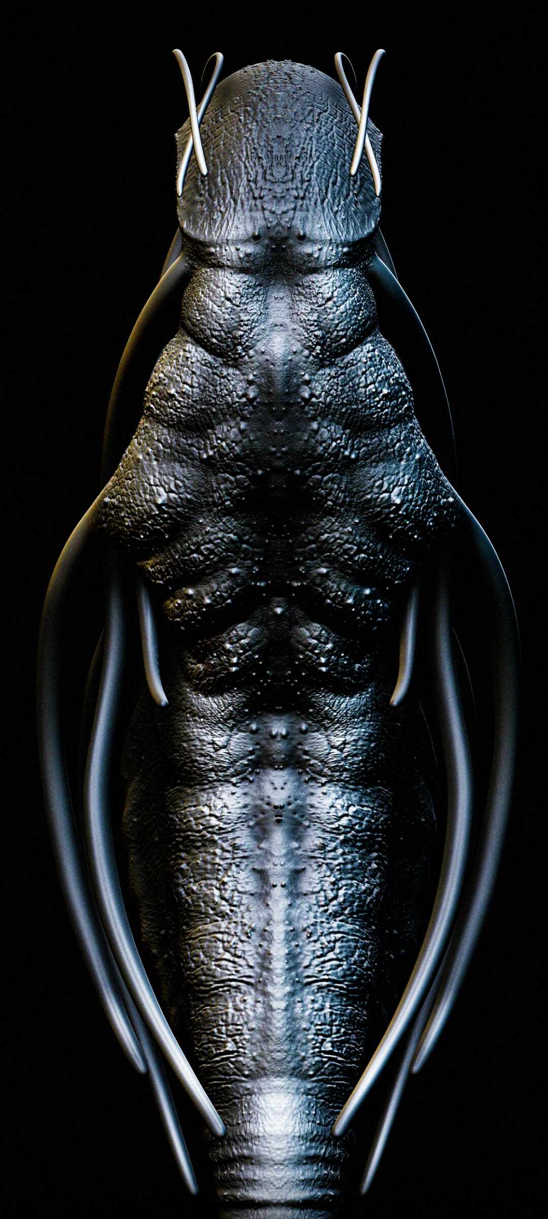 Screenshot_2023-03-11-23-15-55-141_com.miui.gallery