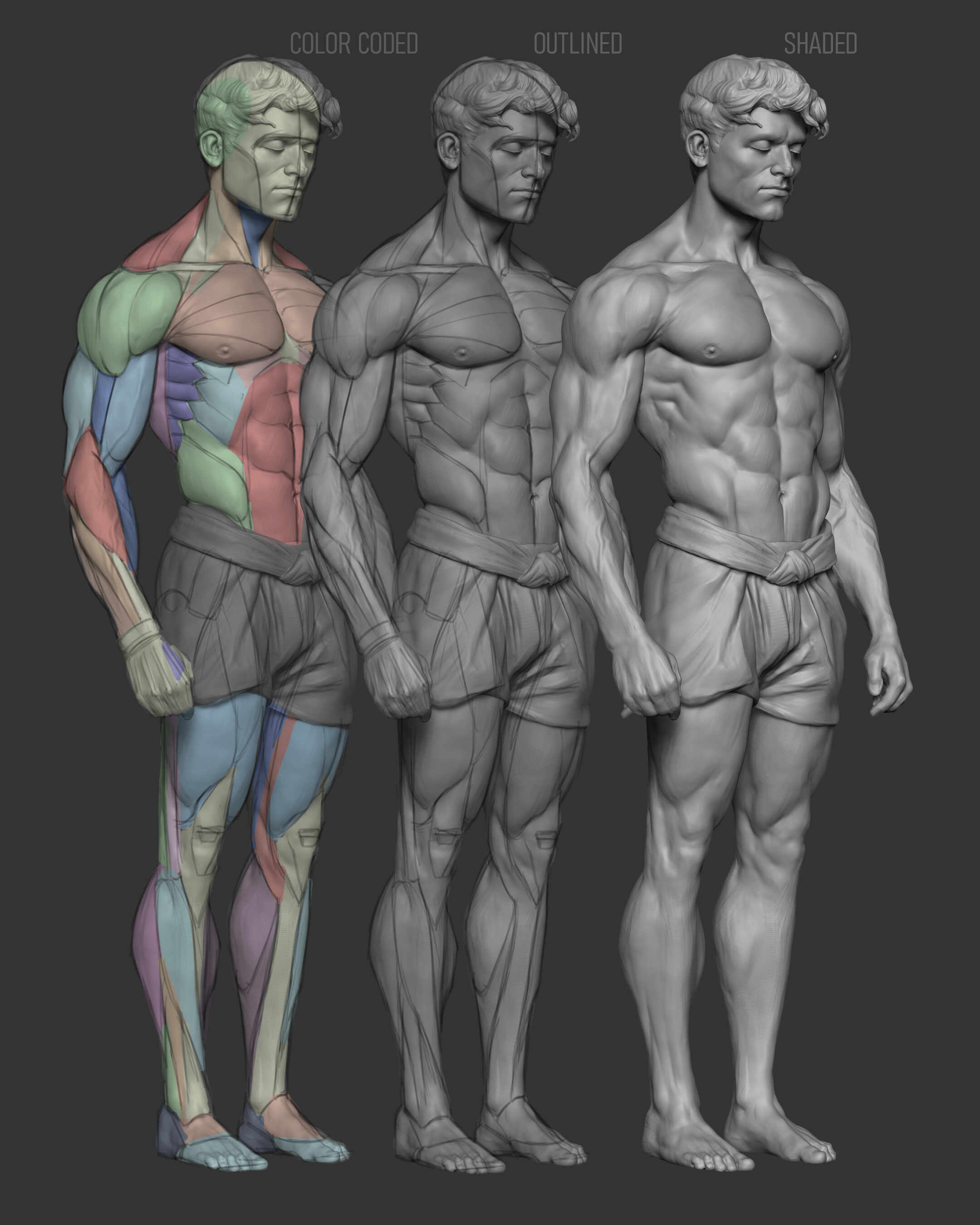 AnatomyPractice_Comp_01