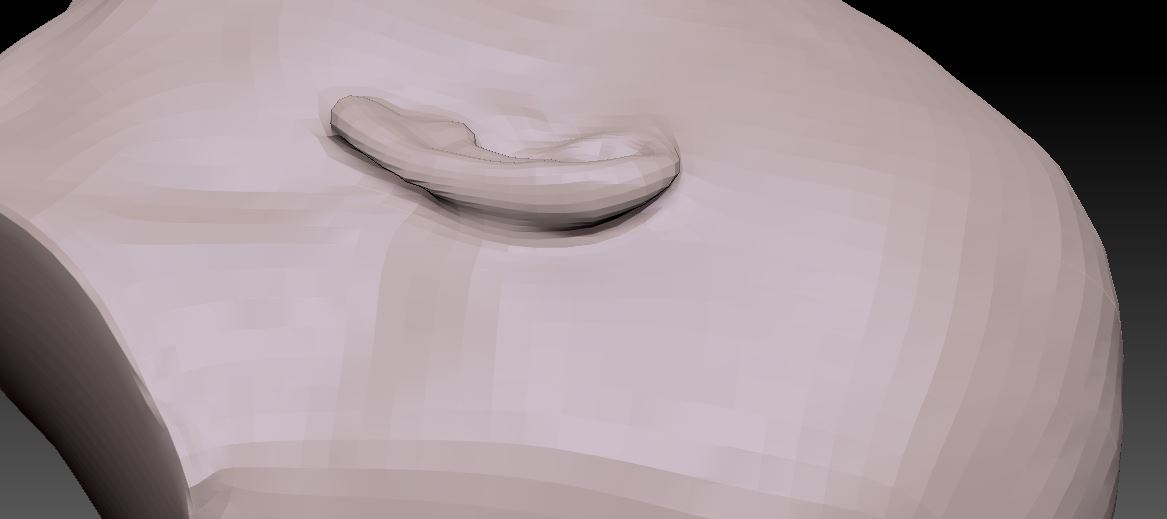 ZBrush. lowest level