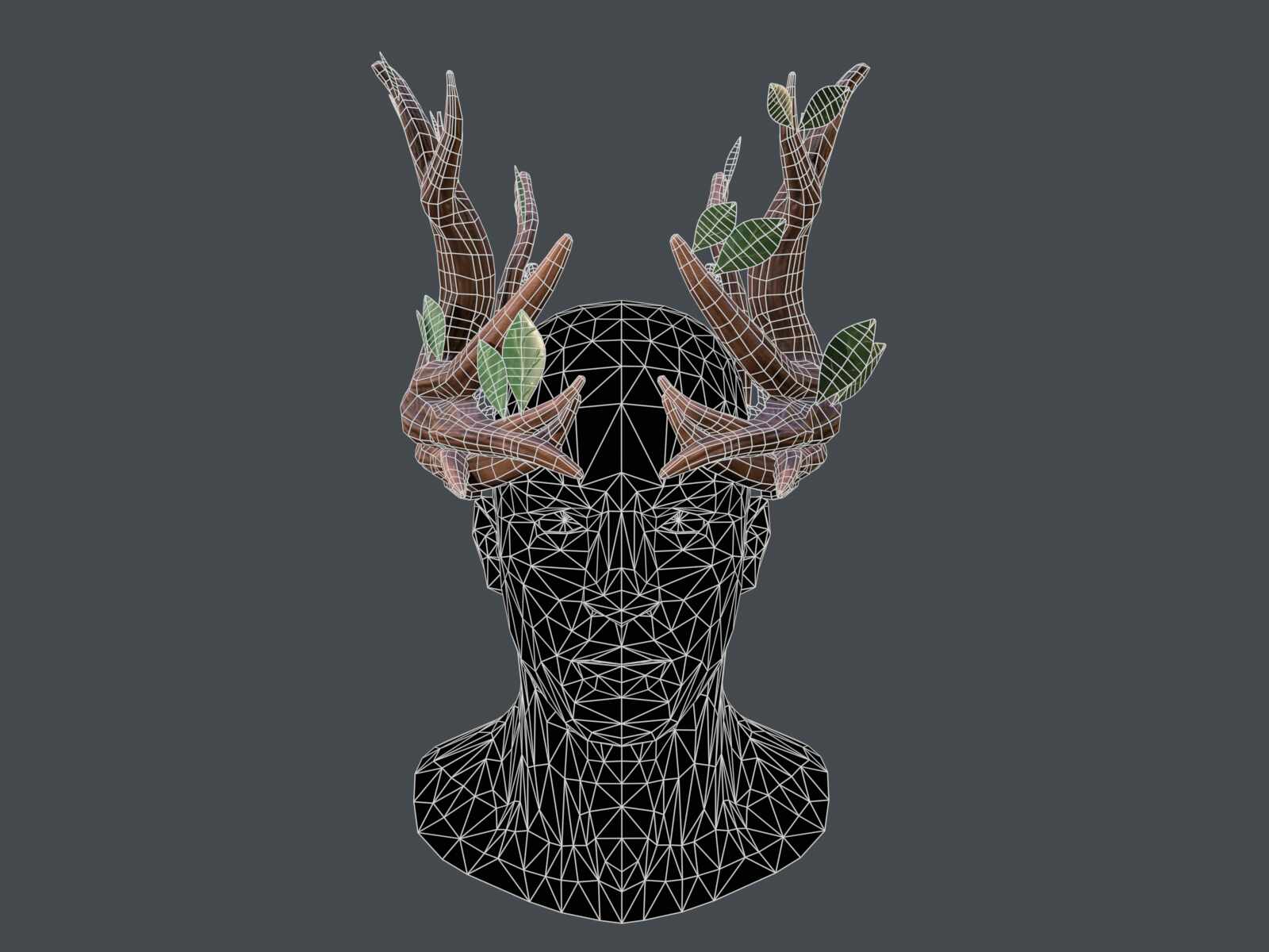 tbrender_Viewport_005