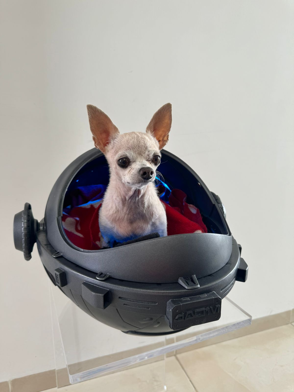 Imagen de WhatsApp 2024-05-09 a las 15.01.01_d587785f