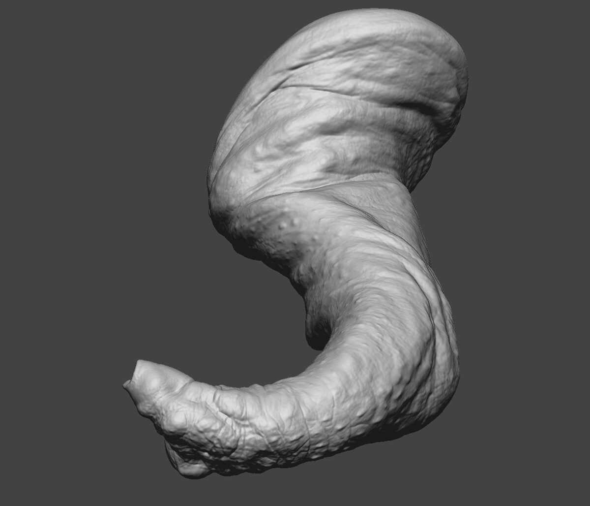 Halloween_Frog_WIP_06