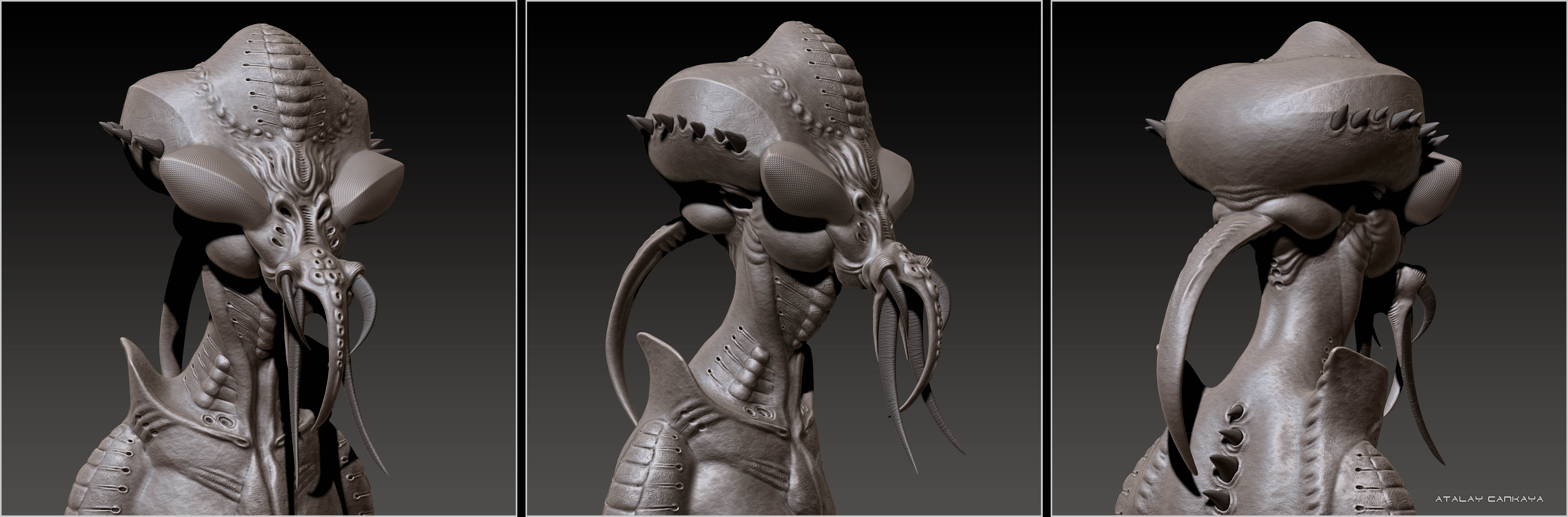 Hunter Insect - Clay 2