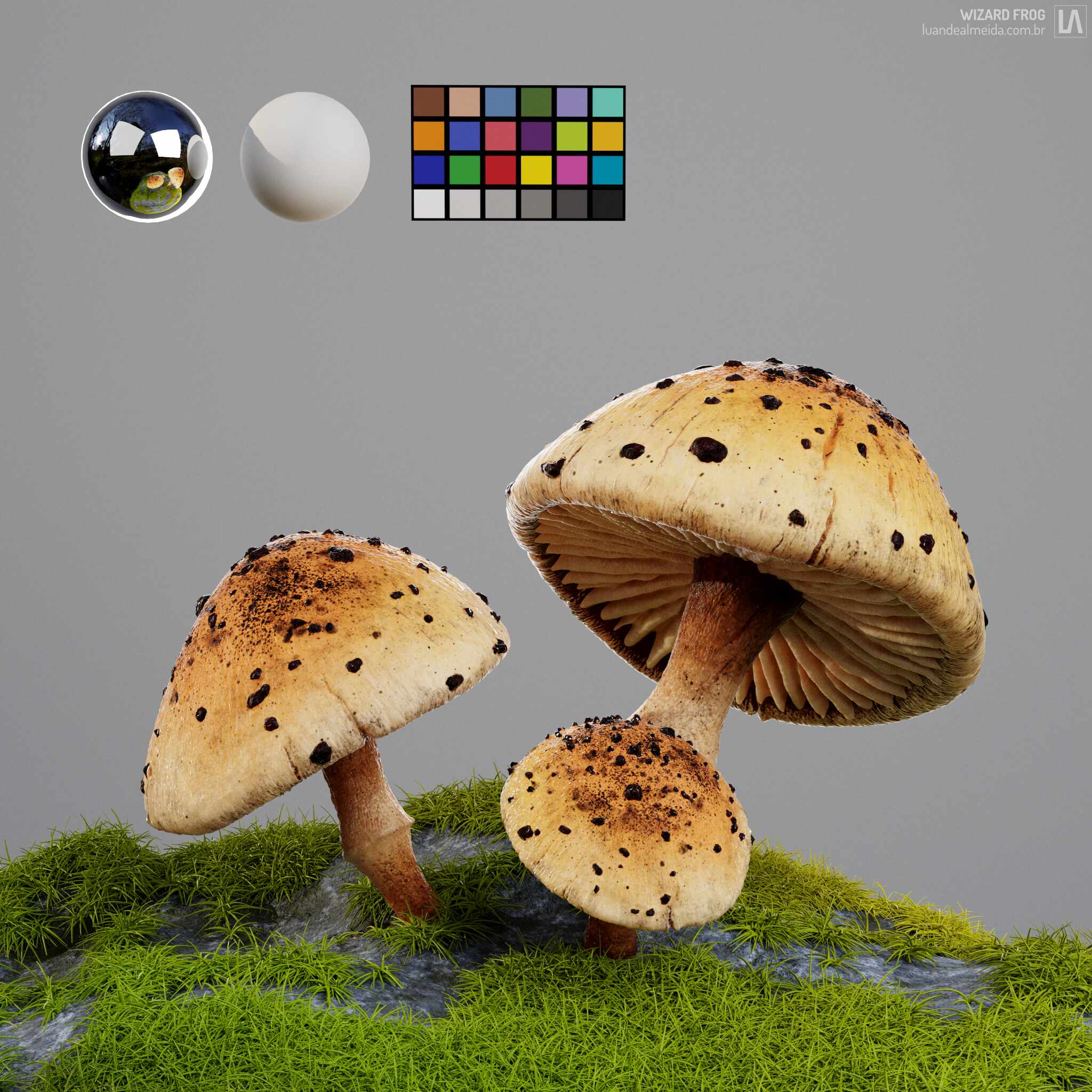 05_mushrooms_lookdev
