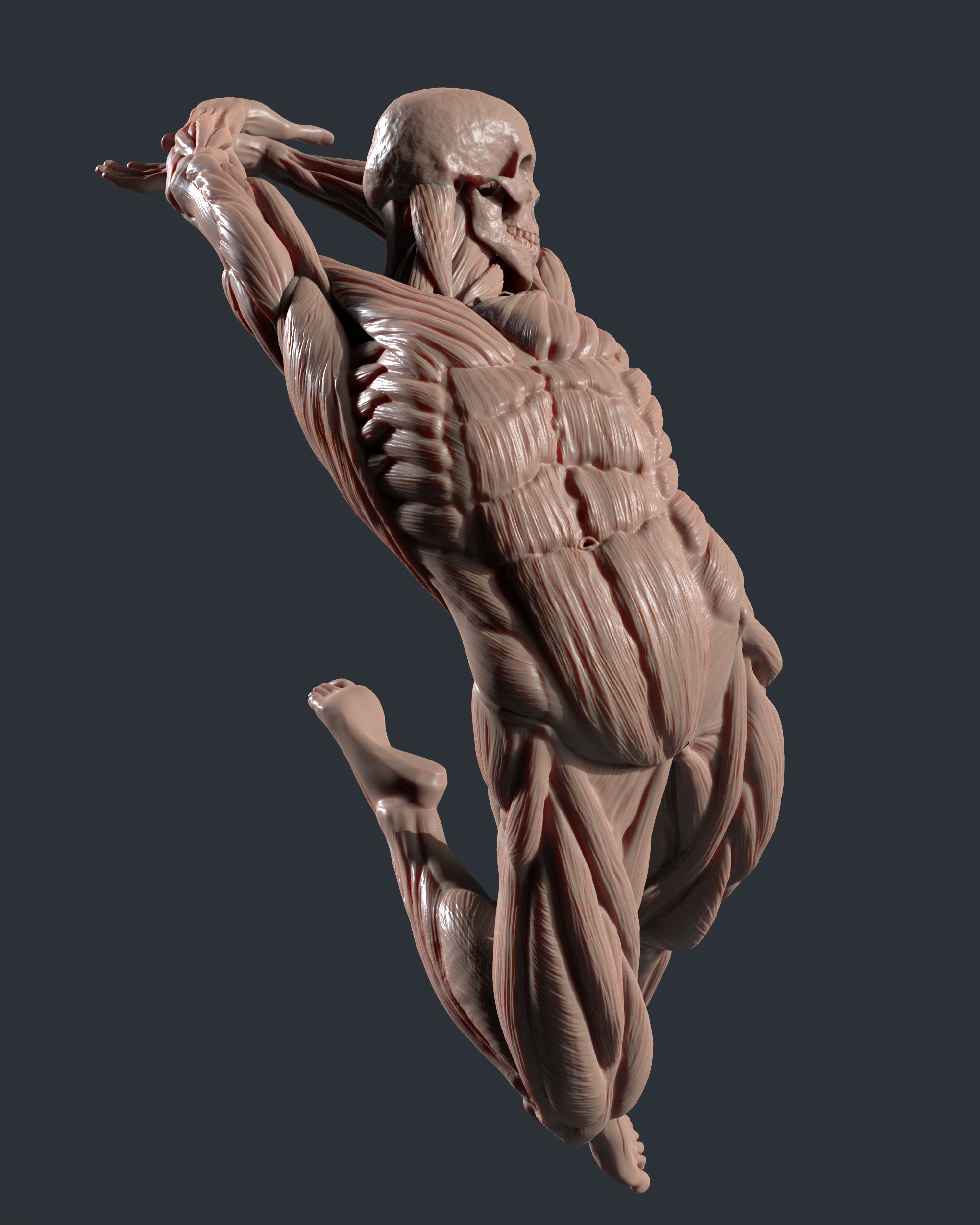 tbrender_Viewport_005