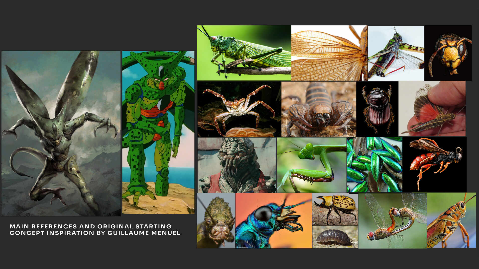 chiara_rovoletto_cell_reference