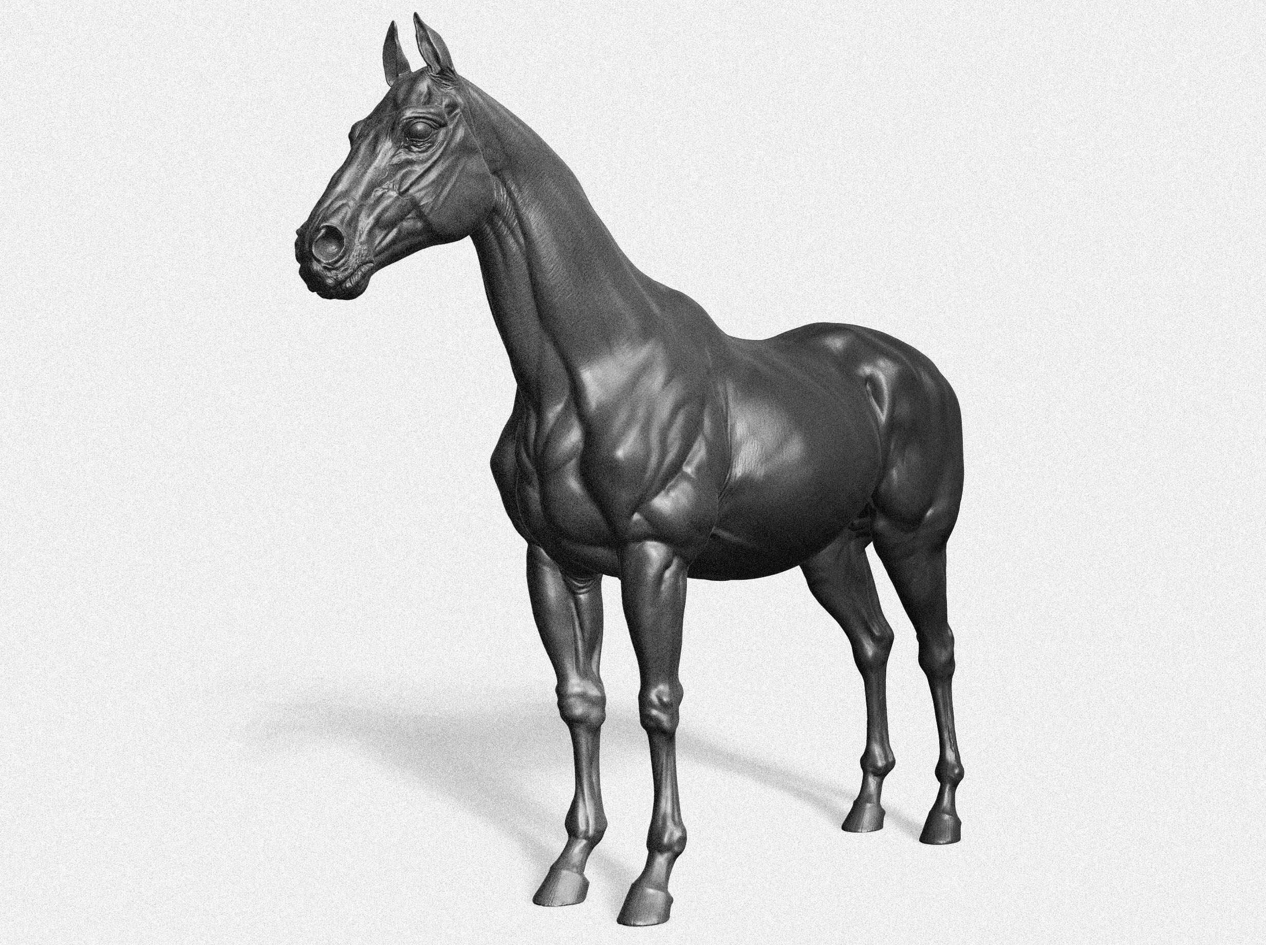 Horse_2