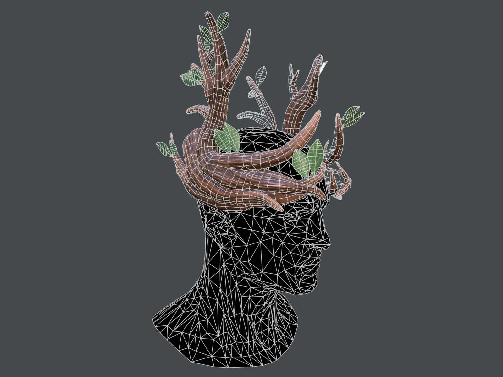 tbrender_Viewport_008