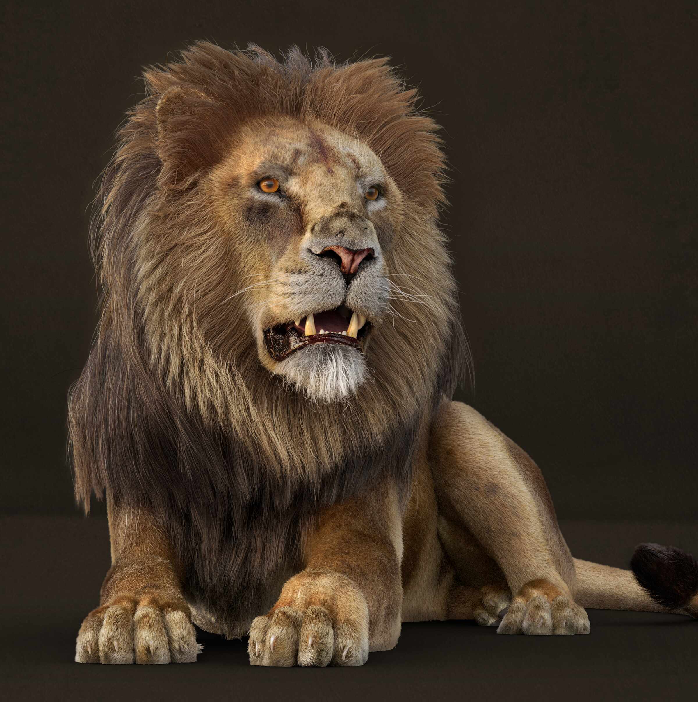 betoPrado_lion_pose03