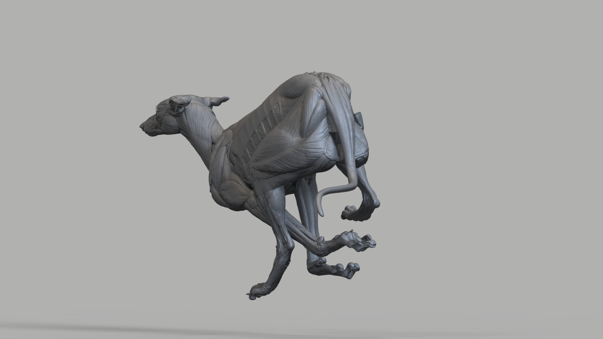 krystal-sae-eua-rendertt-43