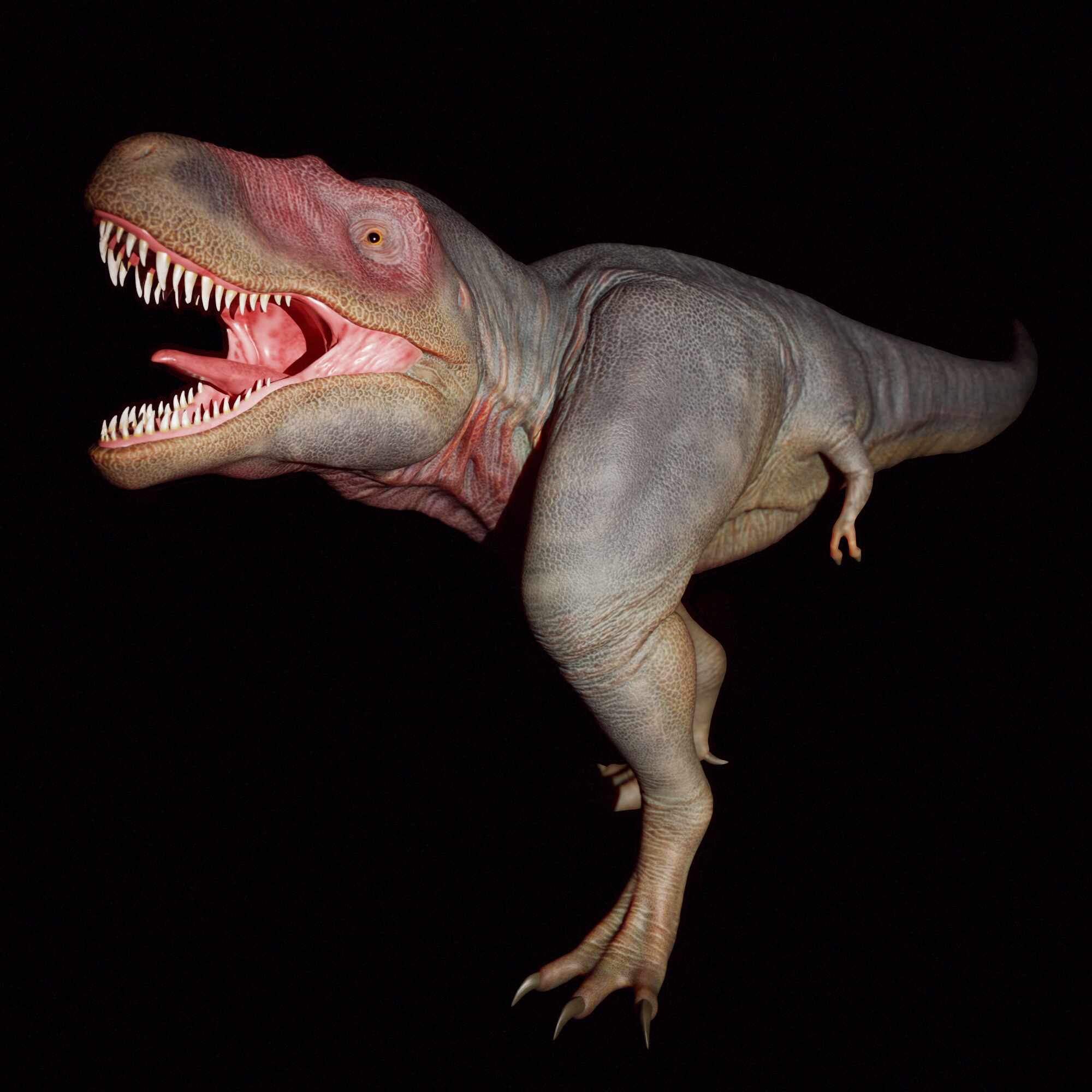 tbrender_Main Camera 1