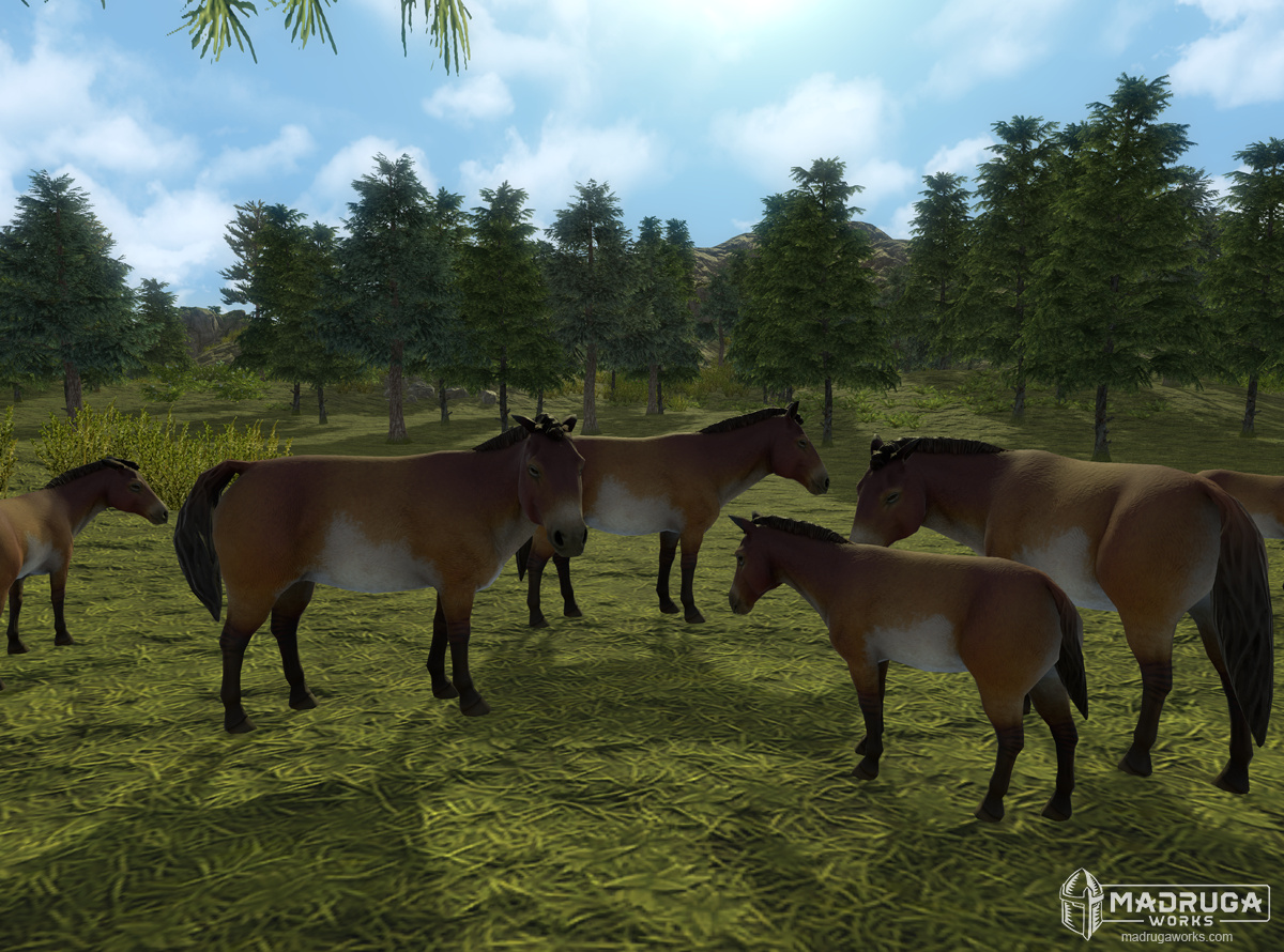 screen_feral_horse_01