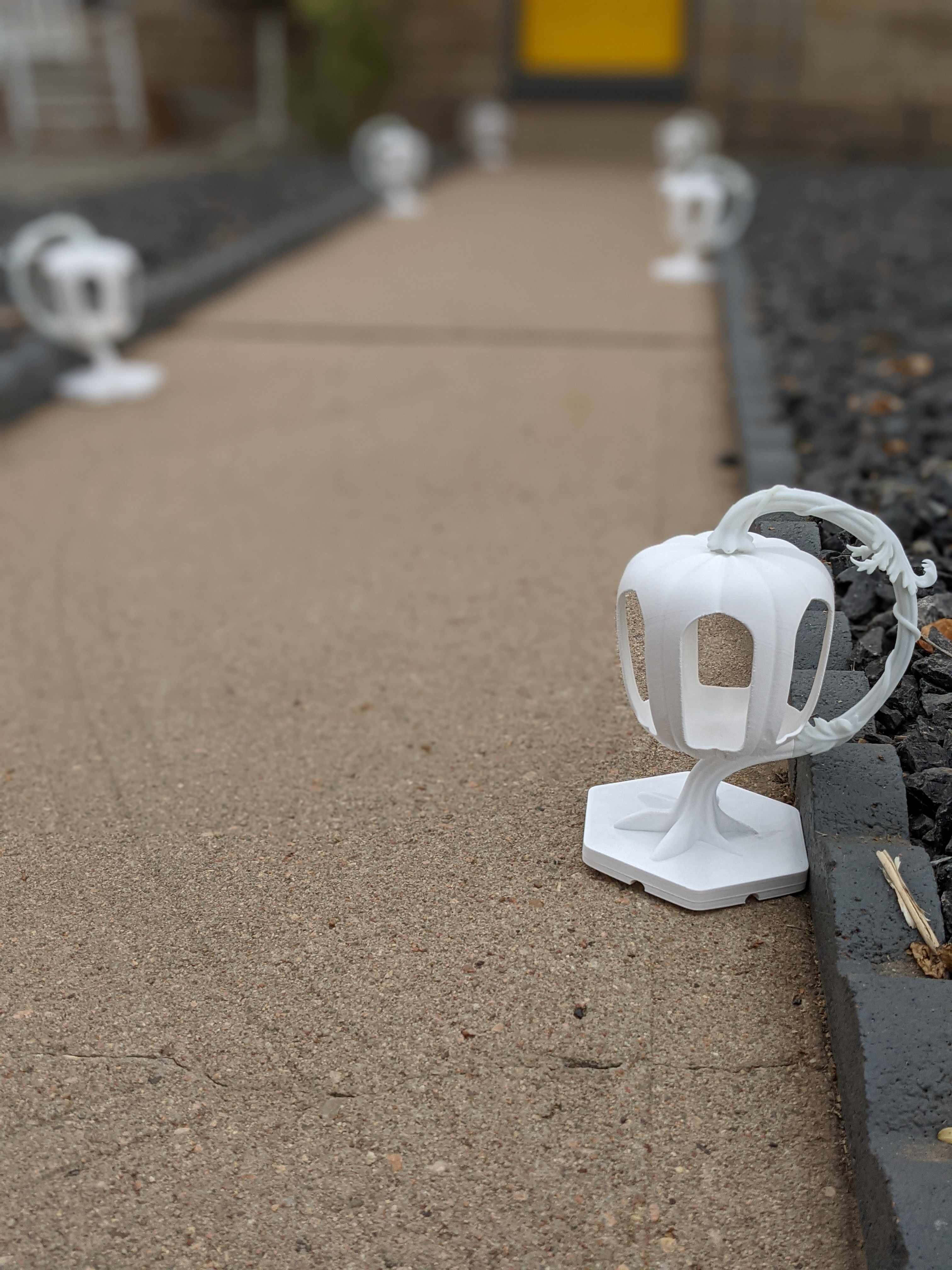 PXL_20211023_181959339.PORTRAIT