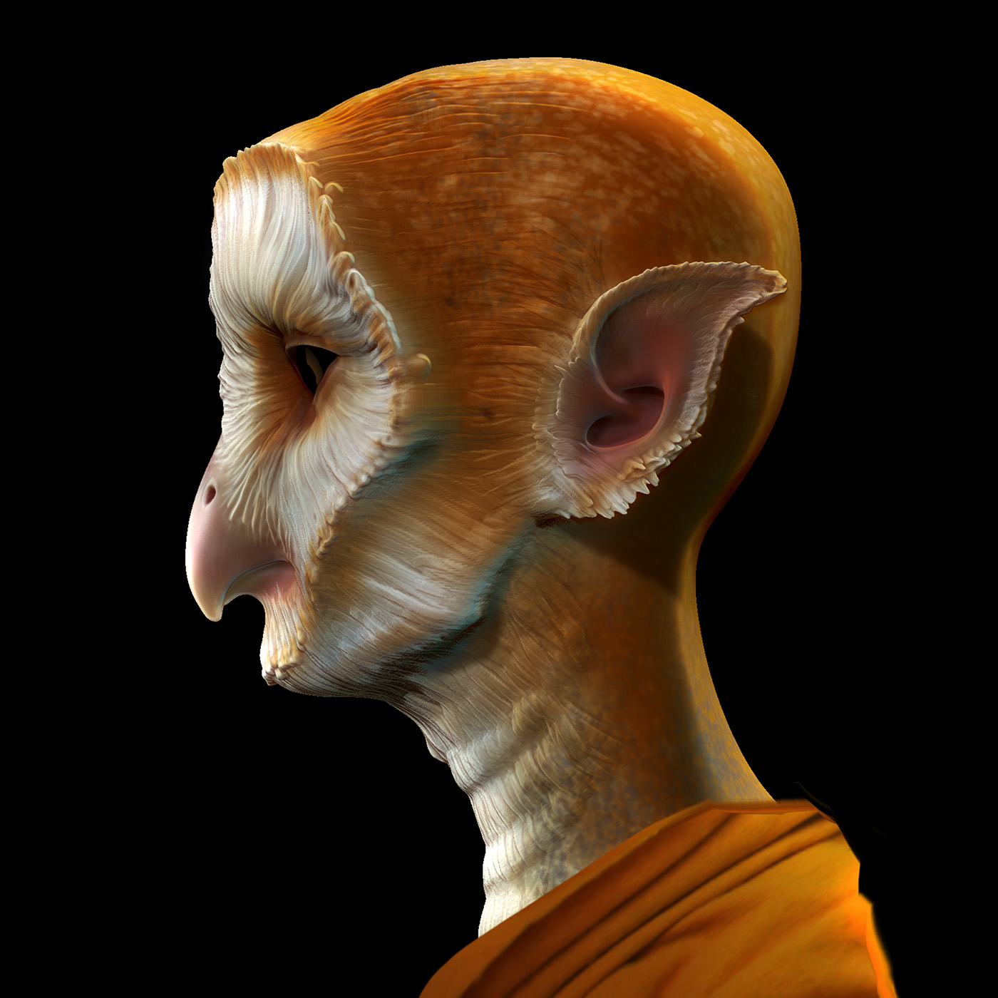 owl_girl_turn_02_4web