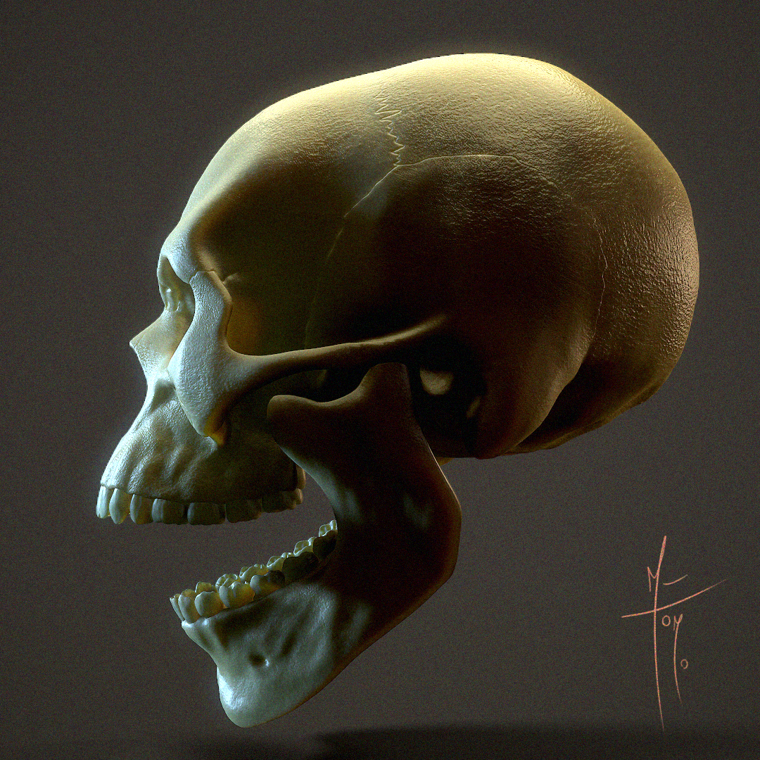Skull_2
