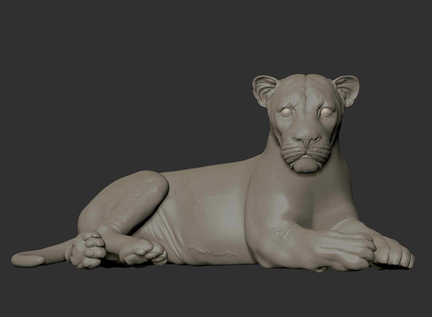 Lion_Clay_ZB_Front