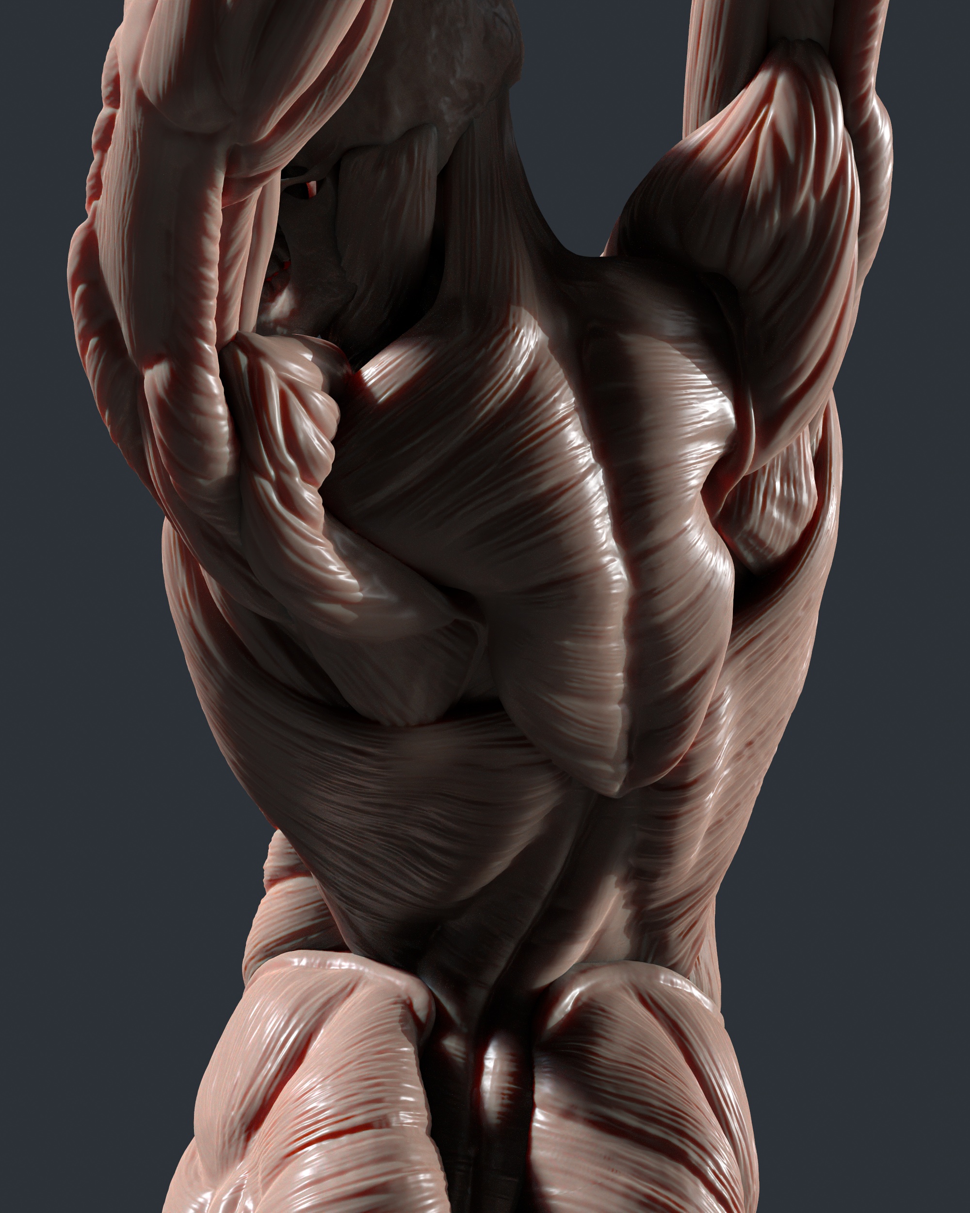 tbrender_Viewport_014