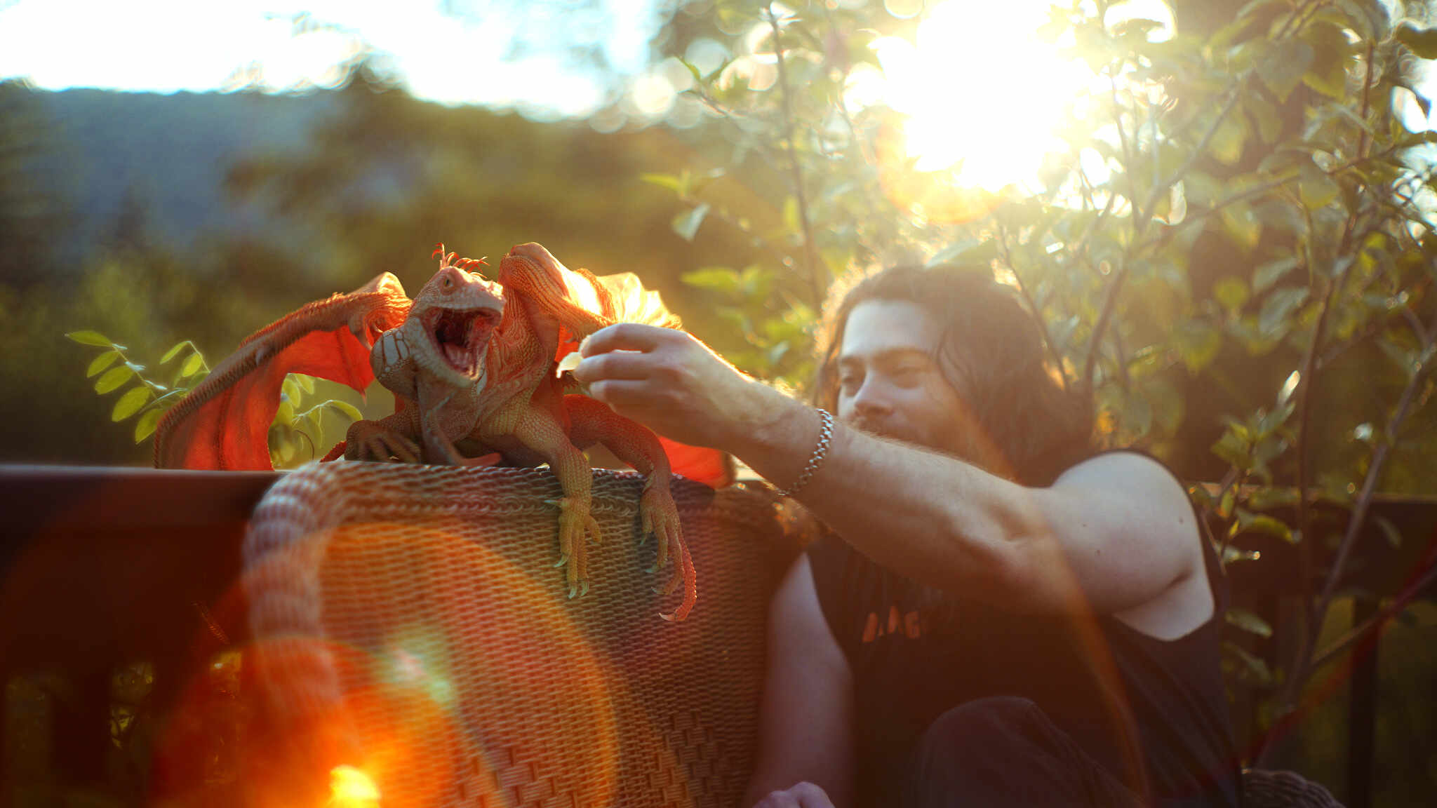 porch_p1j_v008_00335